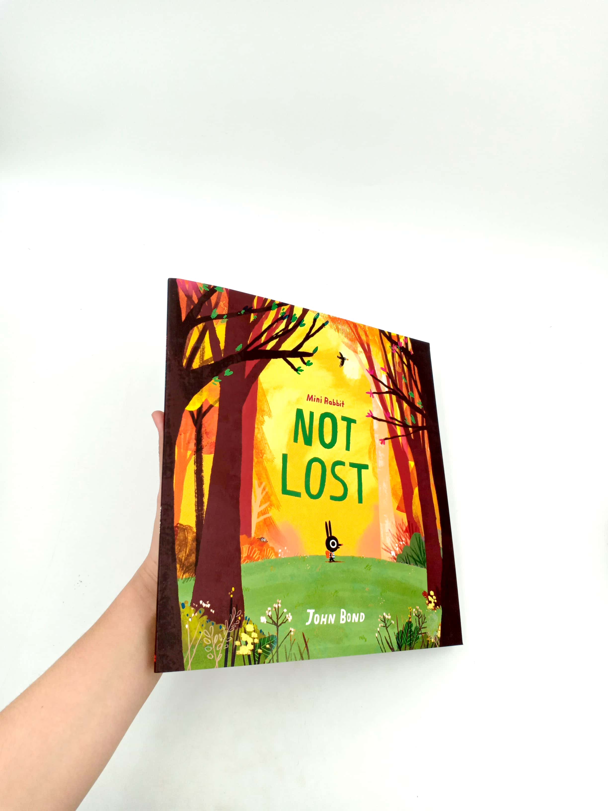 mini rabbit not lost (mini rabbit)