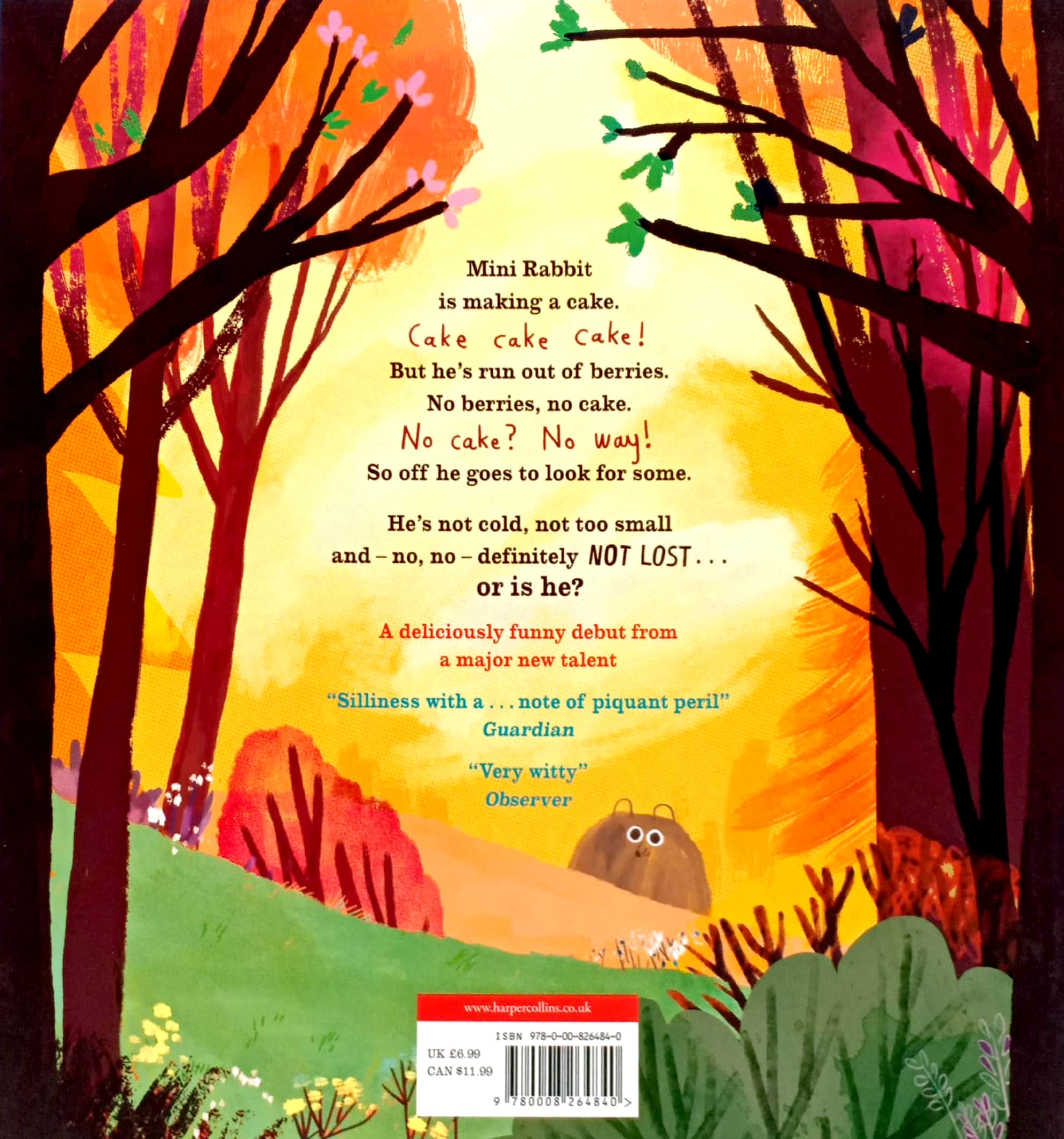 mini rabbit not lost (mini rabbit)