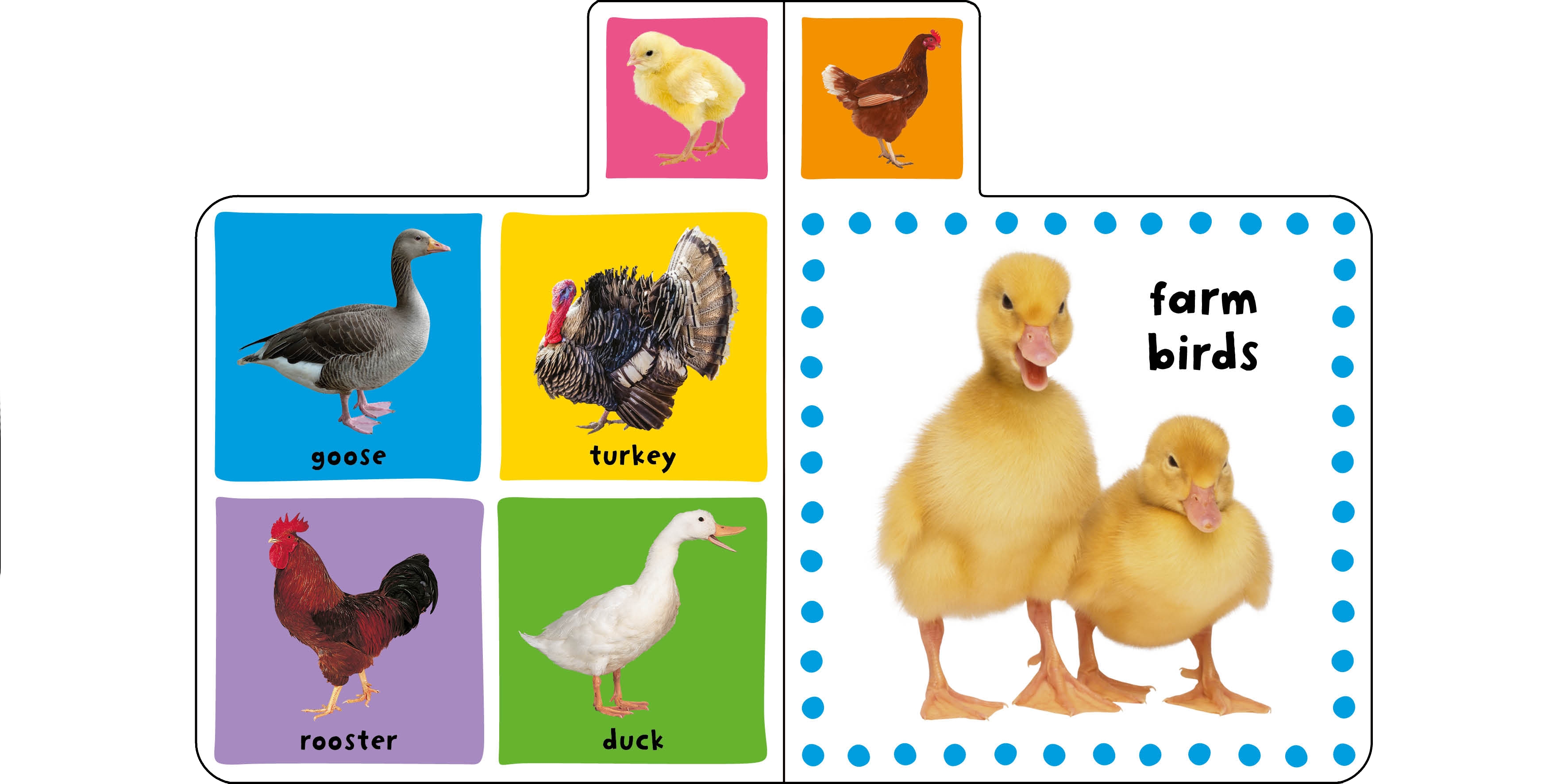 mini tab books: farm