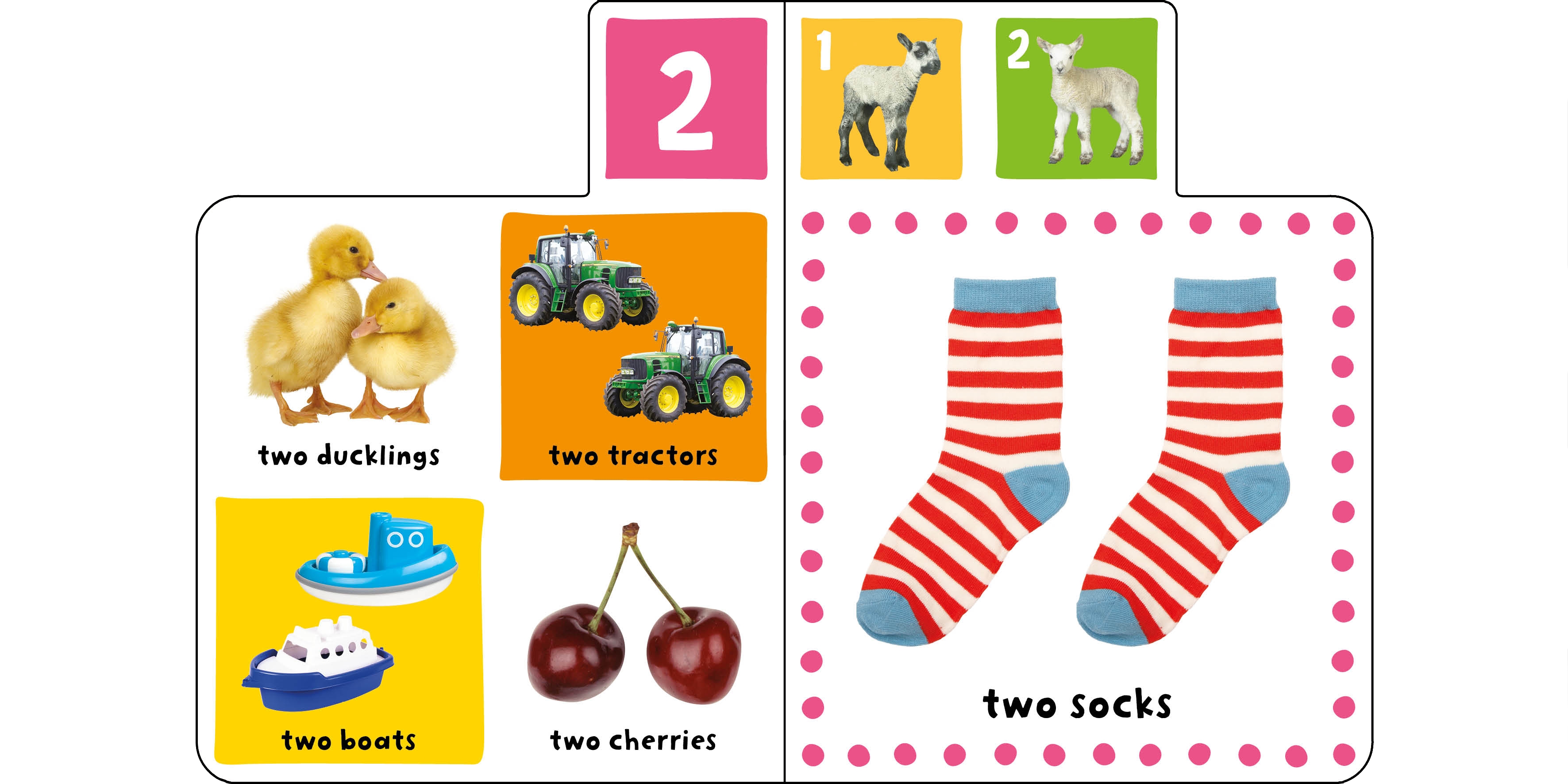 mini tab books: numbers