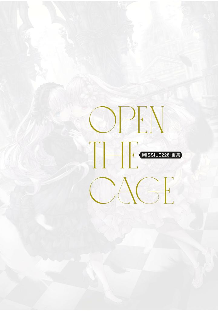 missile228 artbook: open the cage