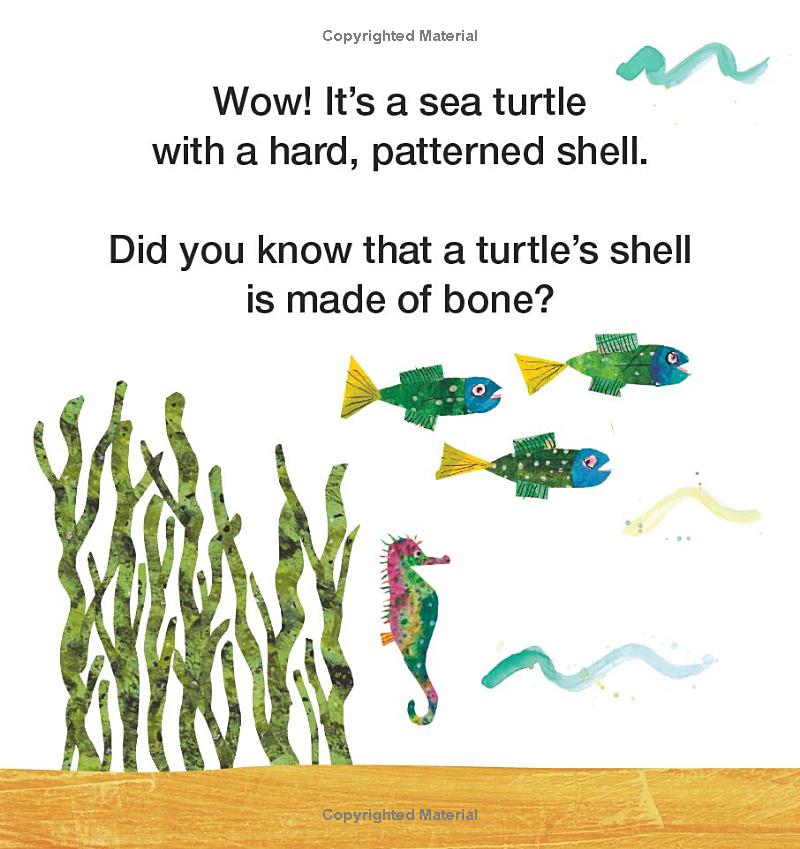 mister seahorse's ocean friends