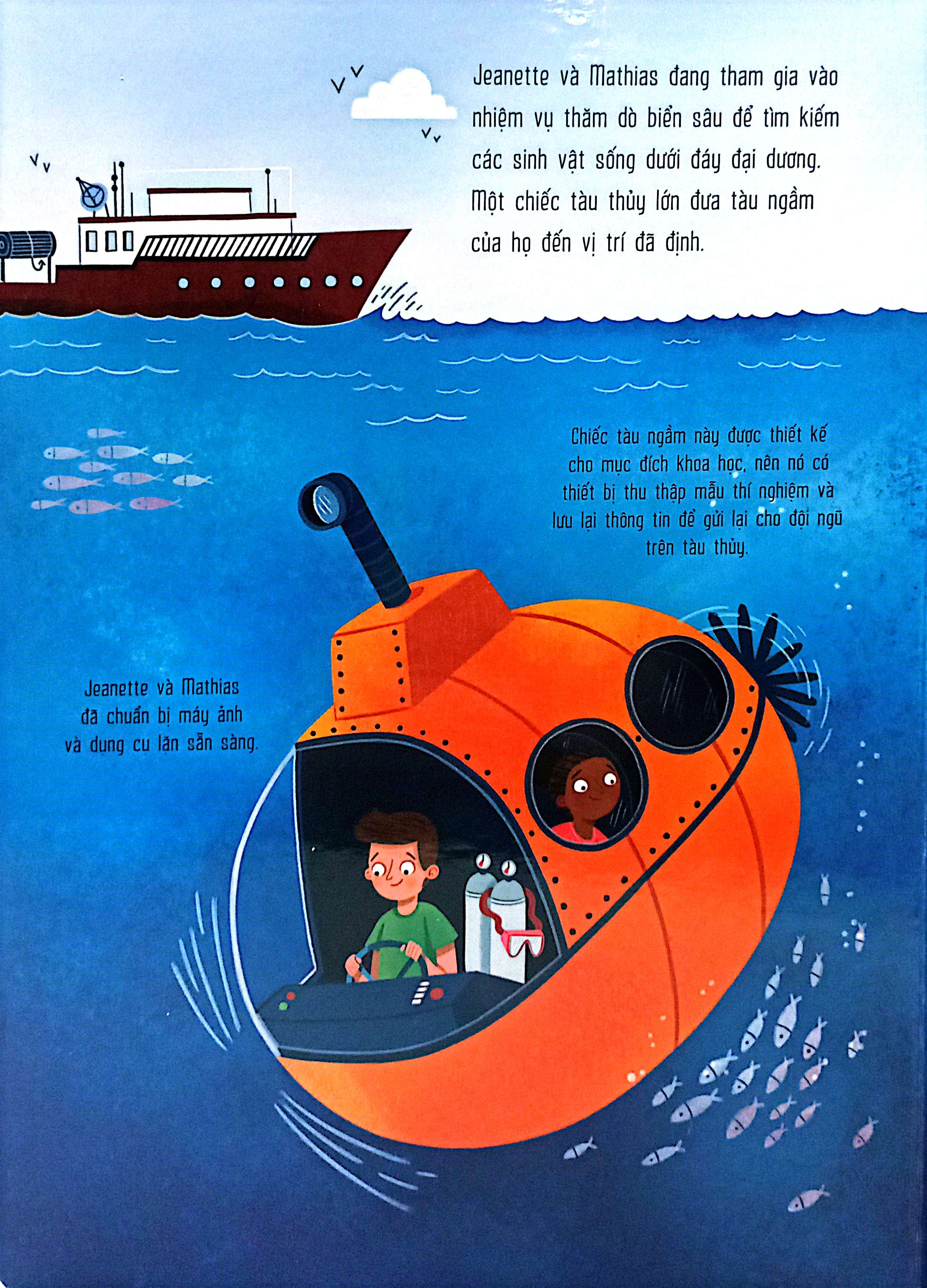 mô hình động - dưới đáy biển