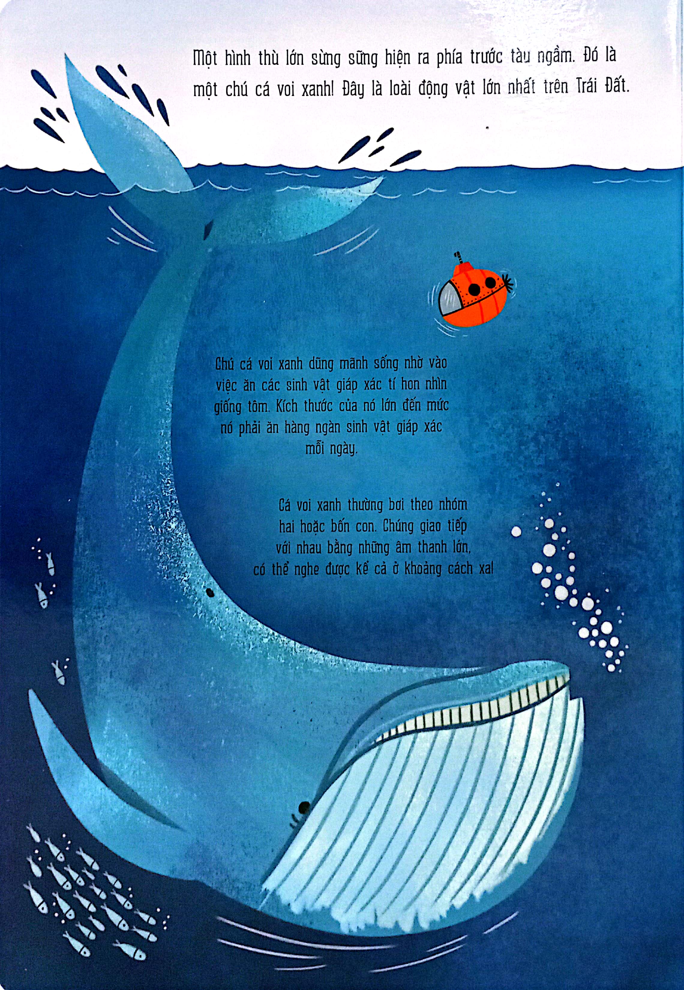 mô hình động - dưới đáy biển