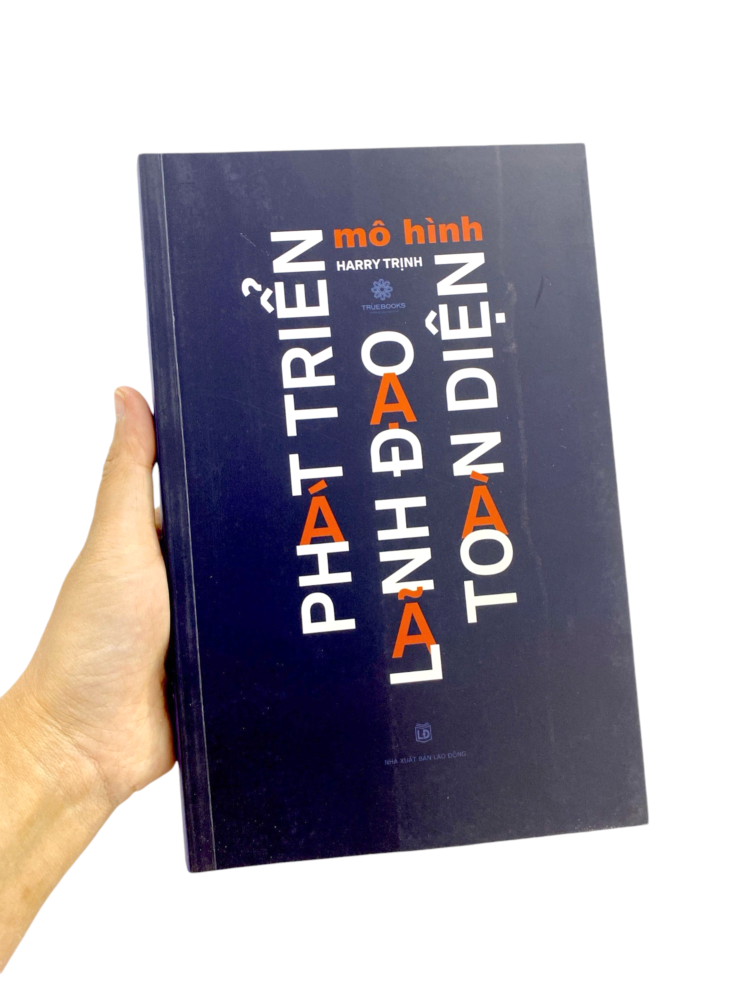 mô hình phát triển lãnh đạo toàn diện