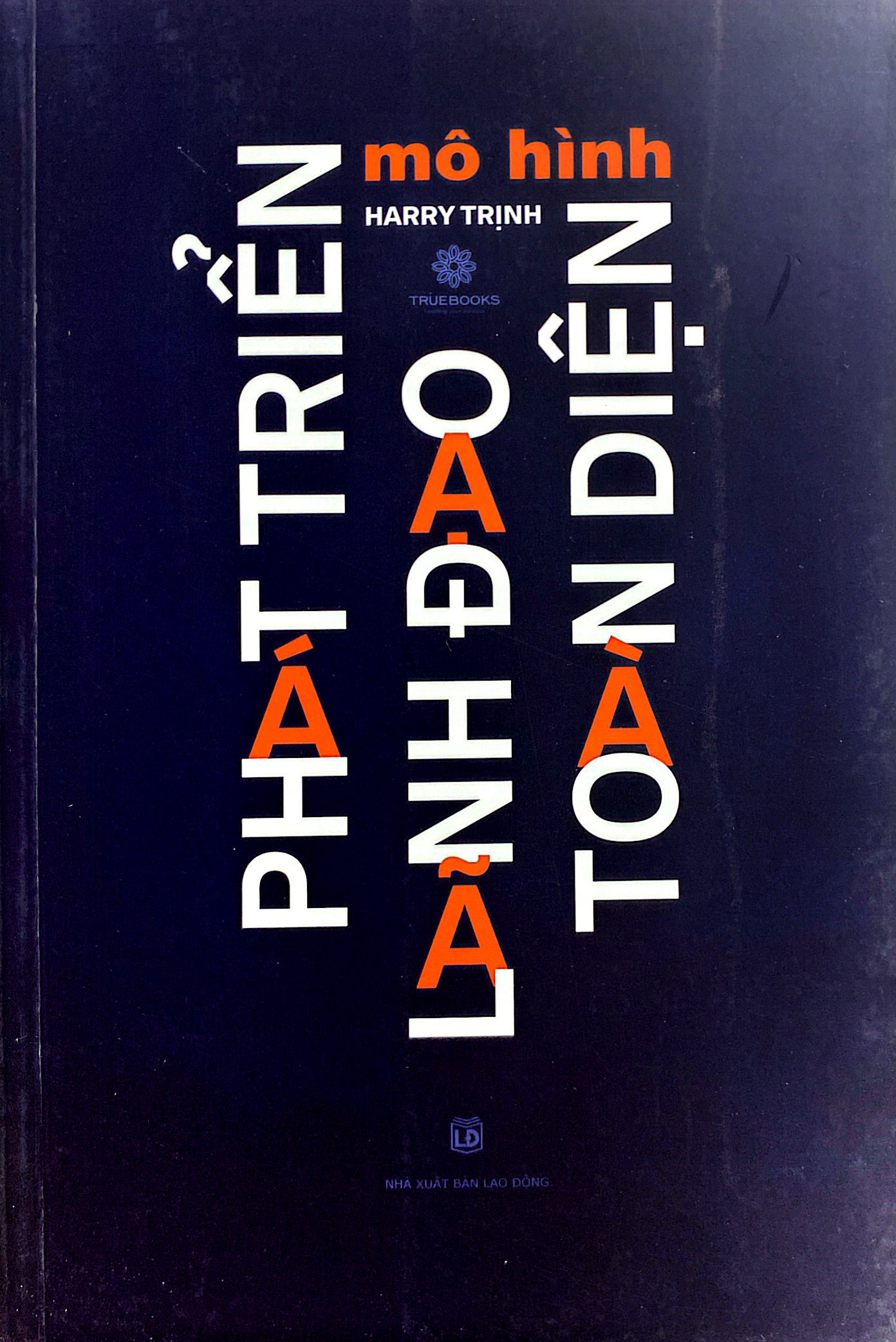 mô hình phát triển lãnh đạo toàn diện