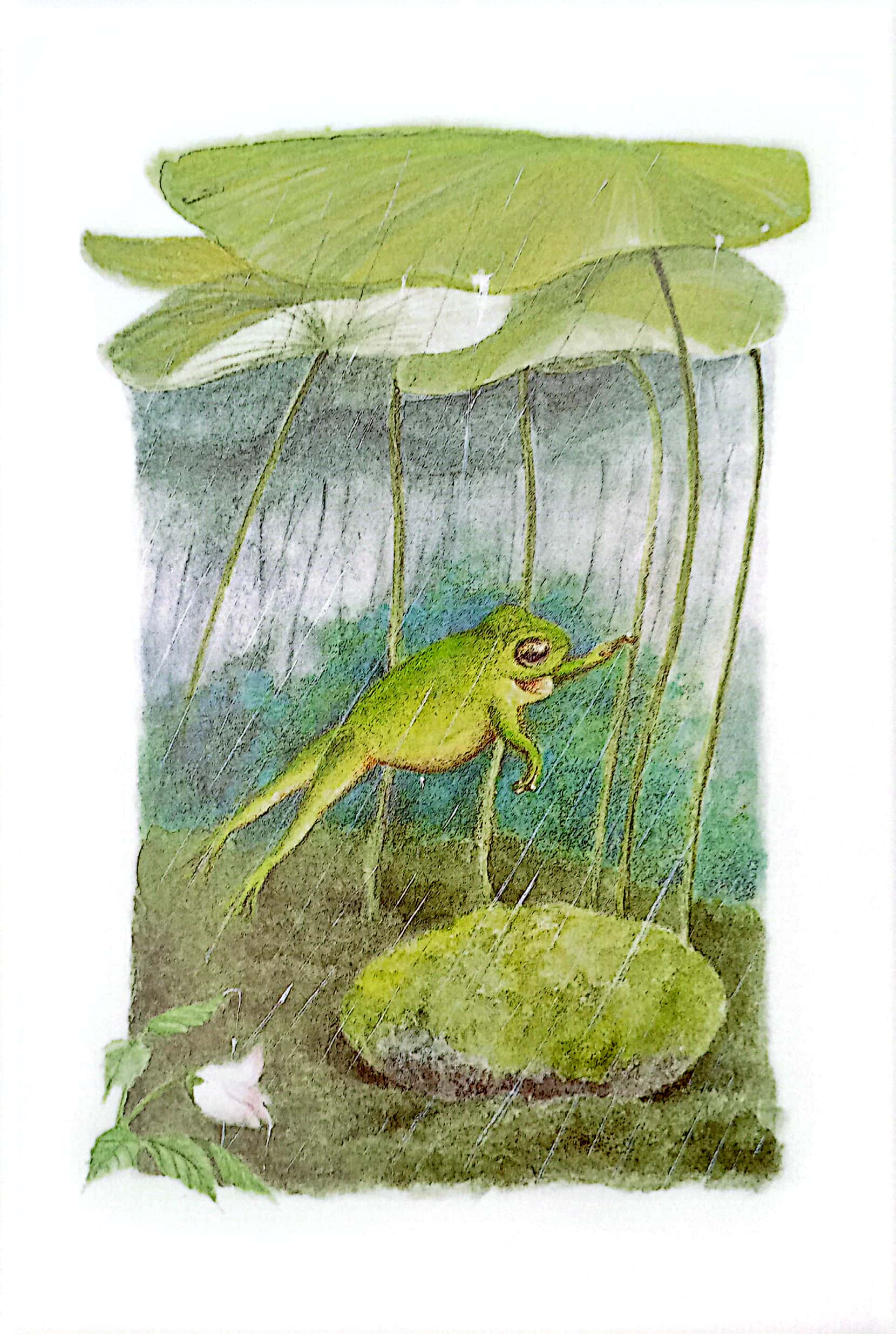 mogu mọt sách - loạt truyện mèo dayan - bữa tiệc ngày thứ năm mưa