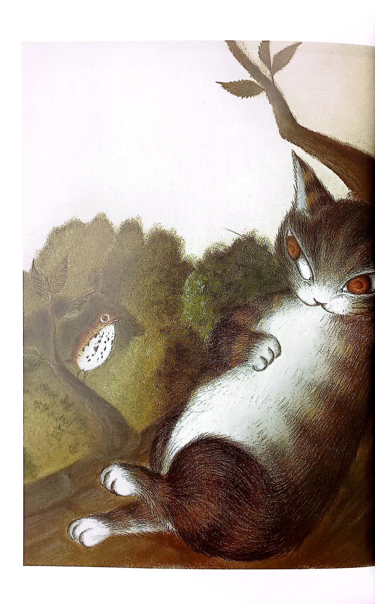 mogu mọt sách - loạt truyện mèo dayan - giấc mơ ngon lành của dayan