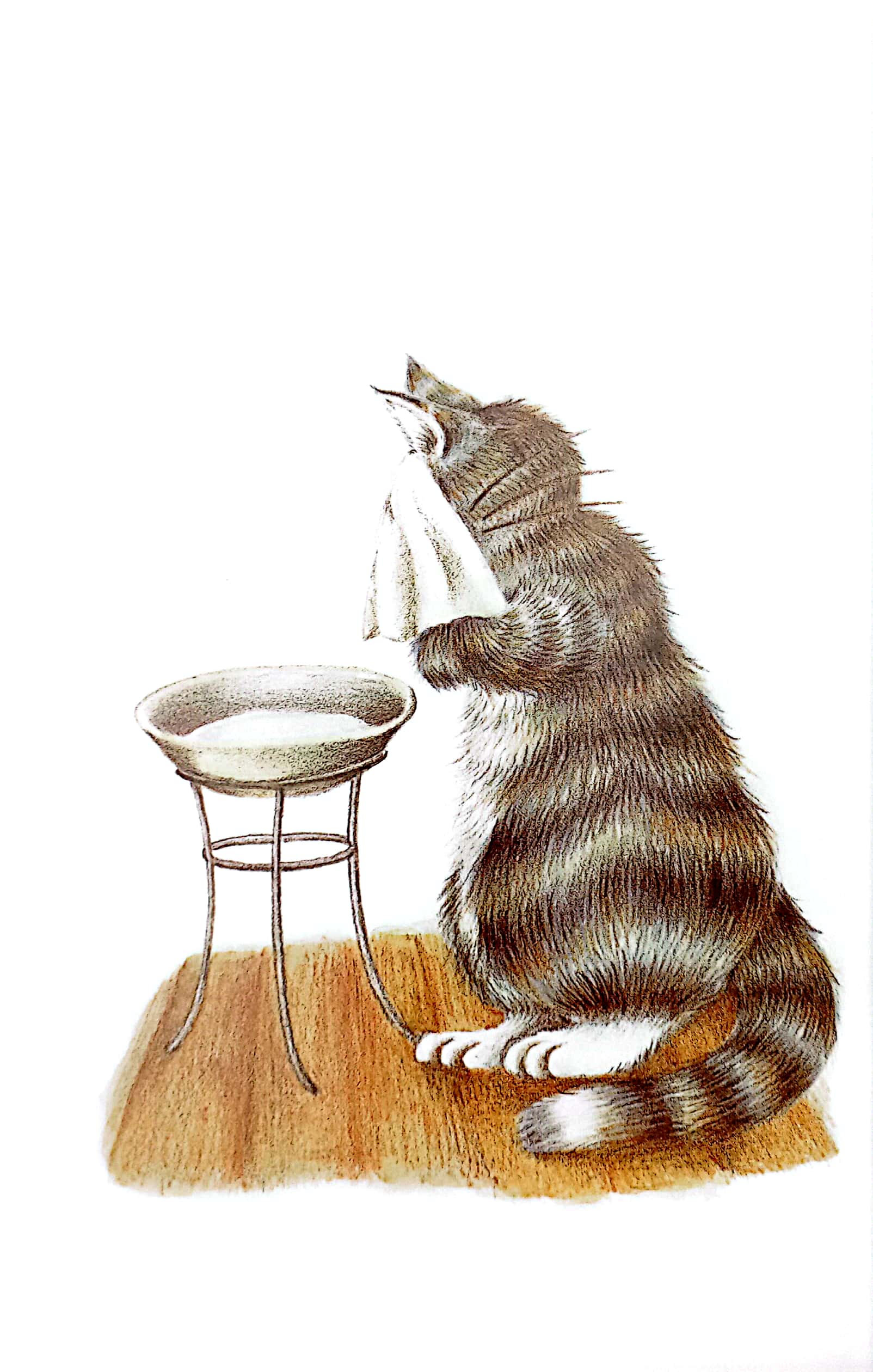 mogu mọt sách - loạt truyện mèo dayan - sinh nhật của dayan