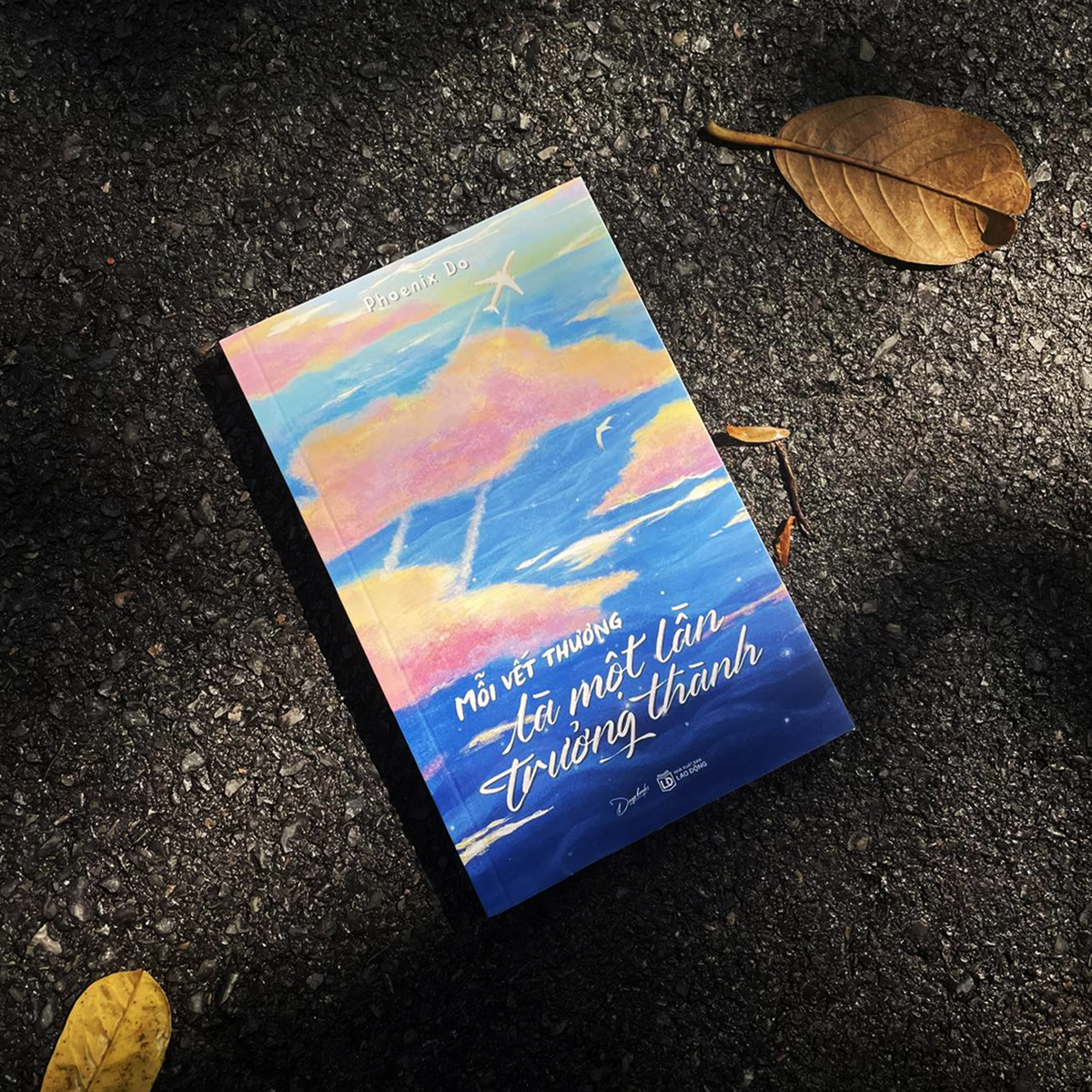 mỗi vết thương là một lần trưởng thành