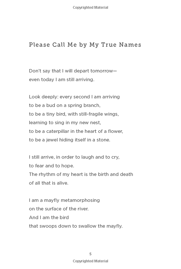 moments of mindfulness: daily inspiration