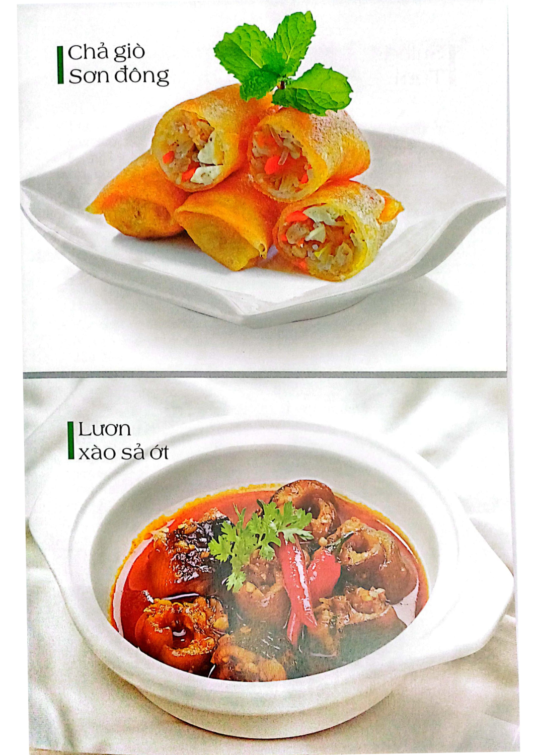 món ăn được nhiều người ưa thích - món ăn bắc - trung - nam