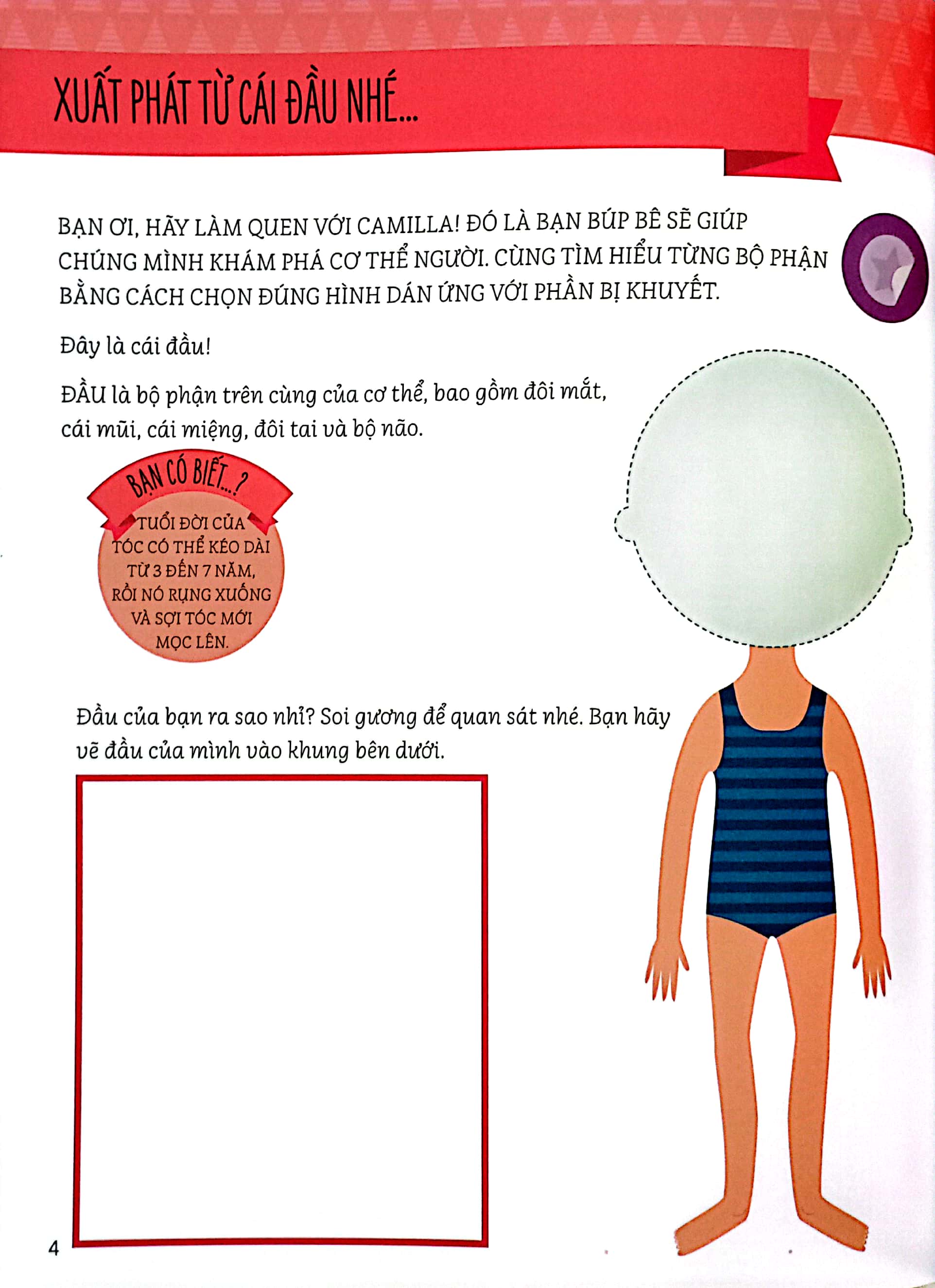 montessori - cuốn sách đầu tiên về cơ thể dành cho trẻ