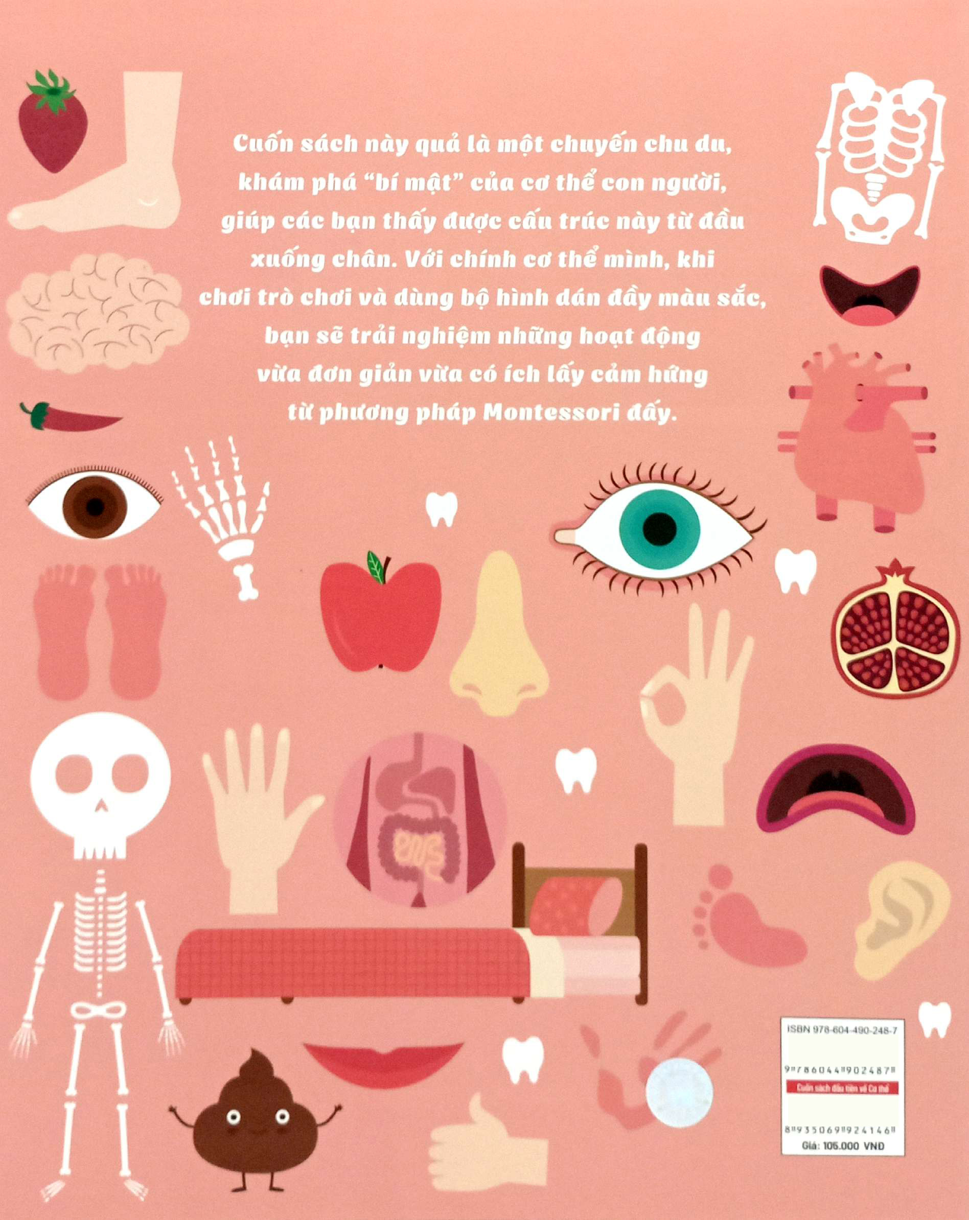 montessori - cuốn sách đầu tiên về cơ thể dành cho trẻ