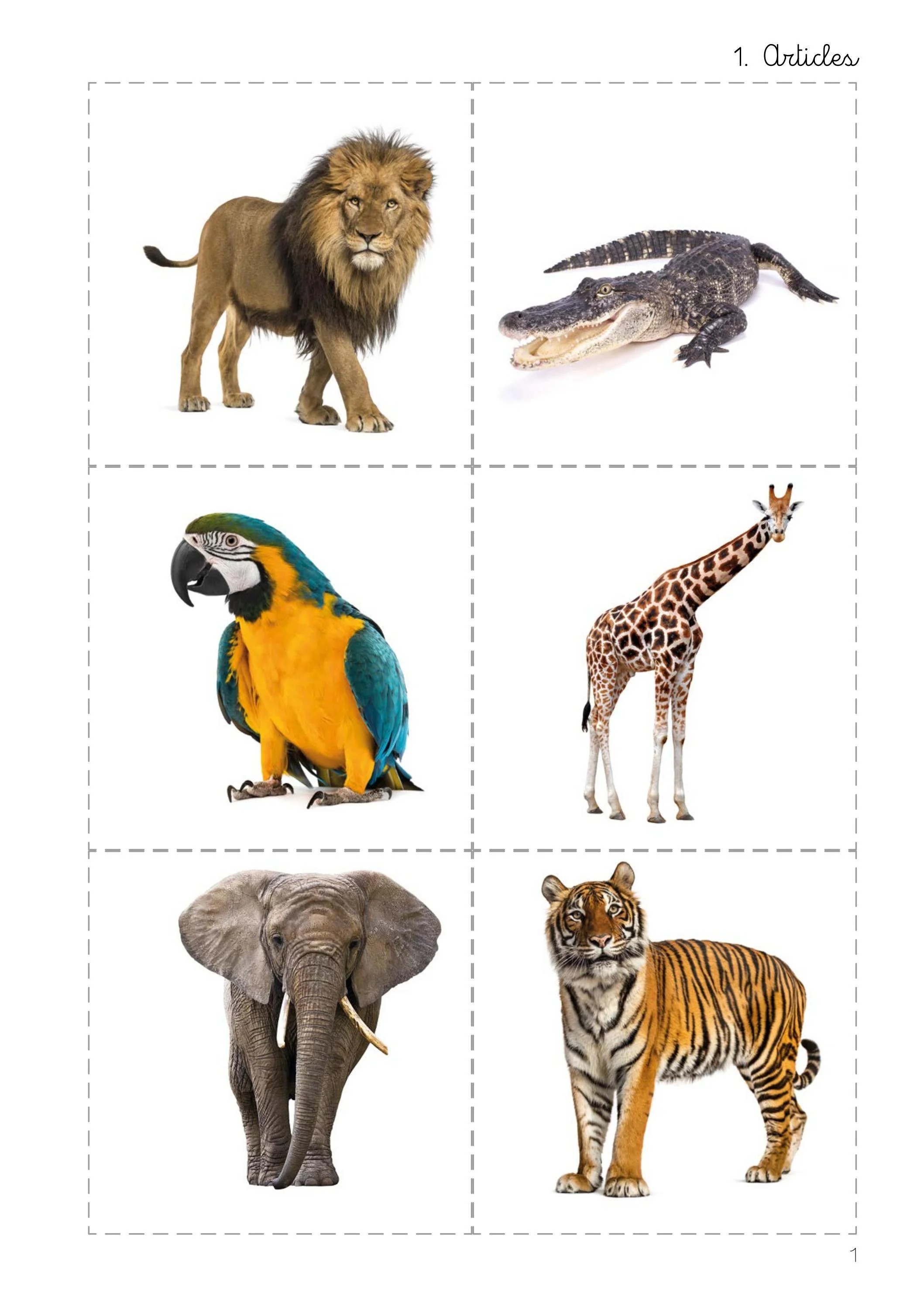 montessori english grammar