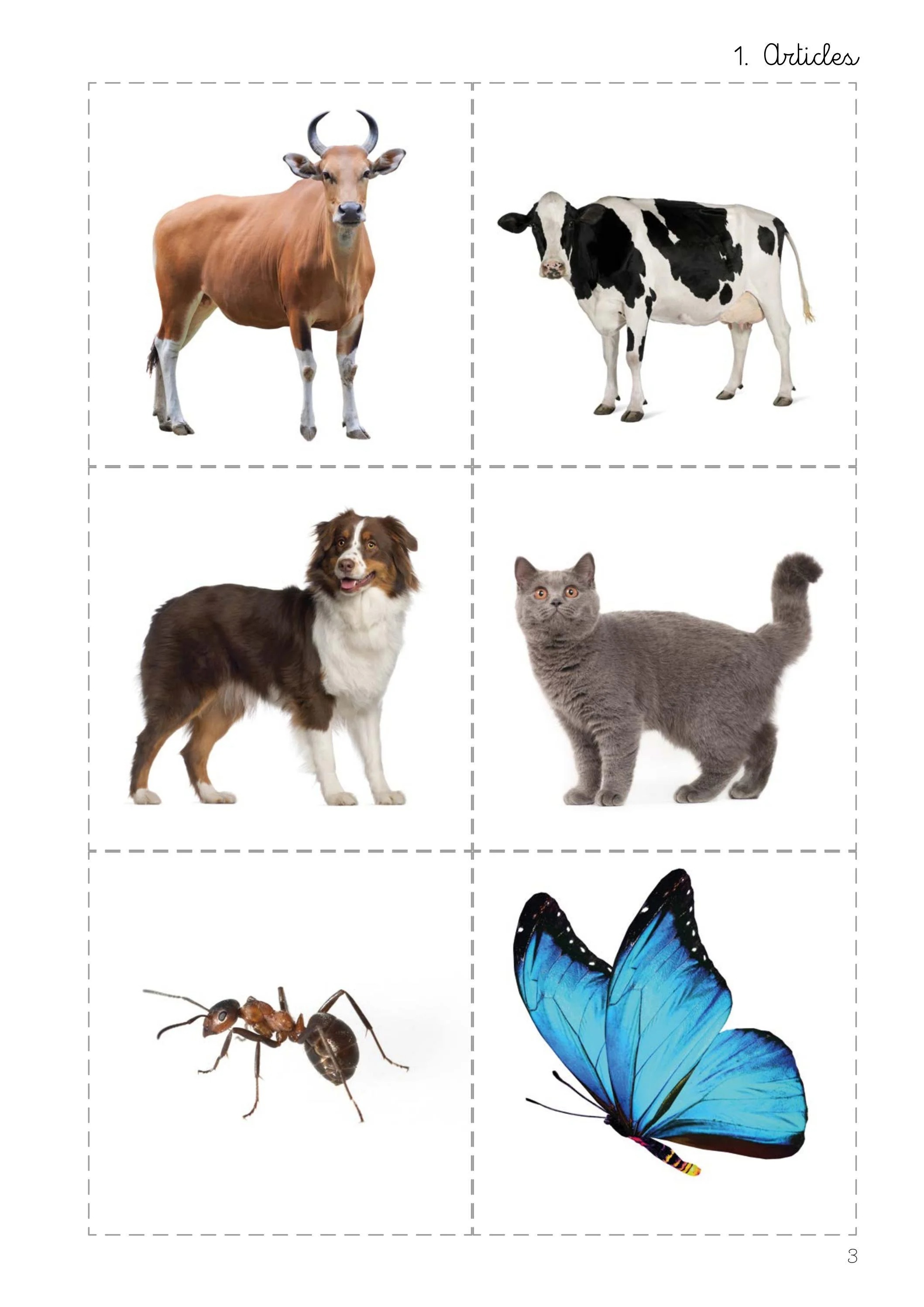 montessori english grammar