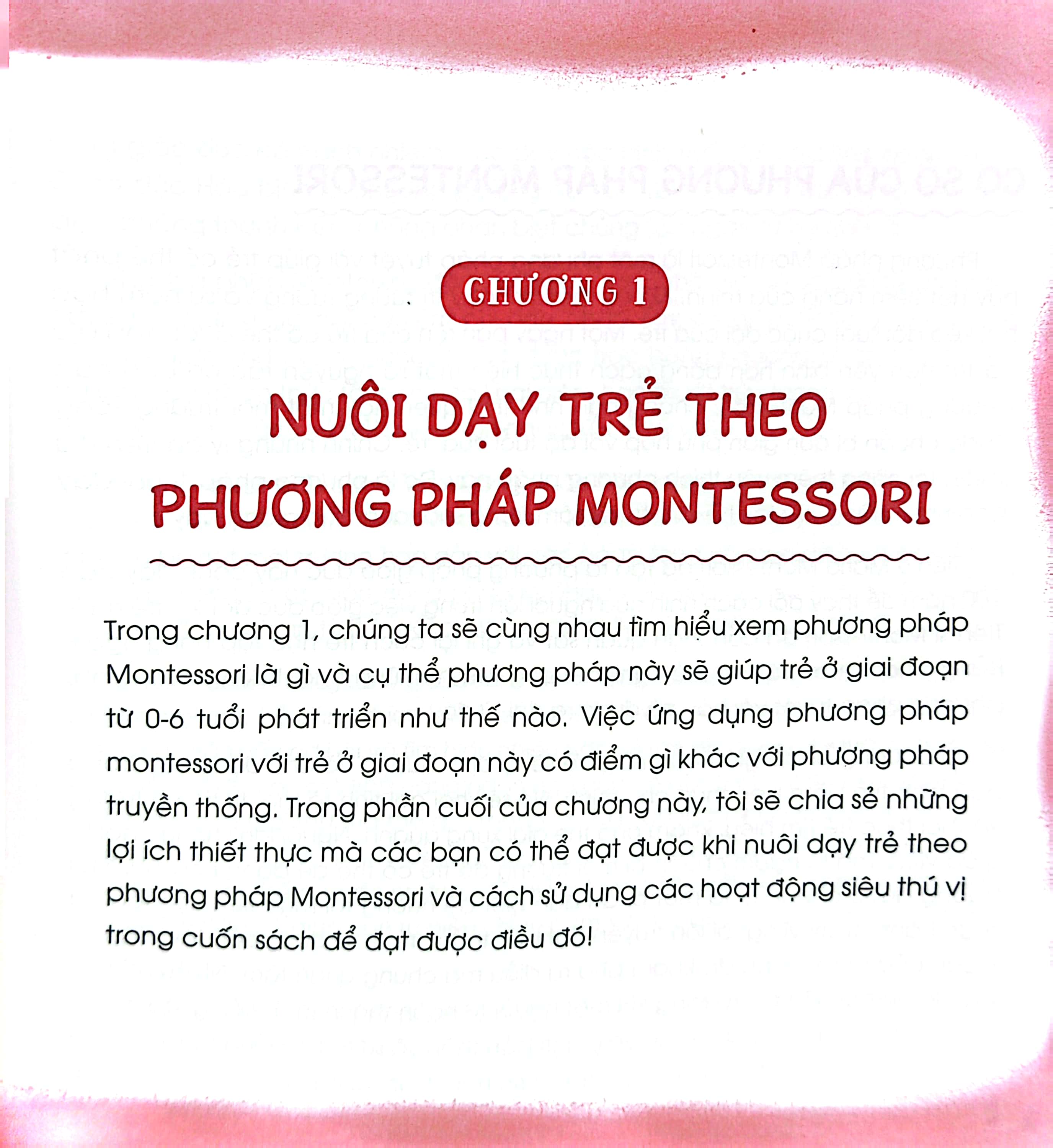 montessori - phương pháp giáo dục sớm giúp trẻ phát triển tiềm năng trí tuệ