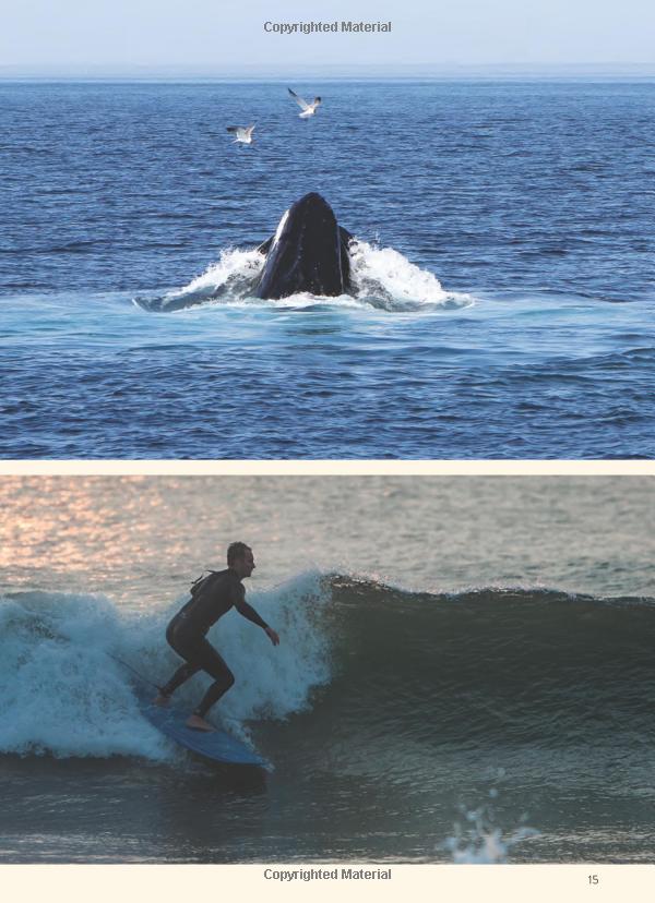 moon cape cod, martha's vineyard & nantucket (fifth edition) (travel guide)