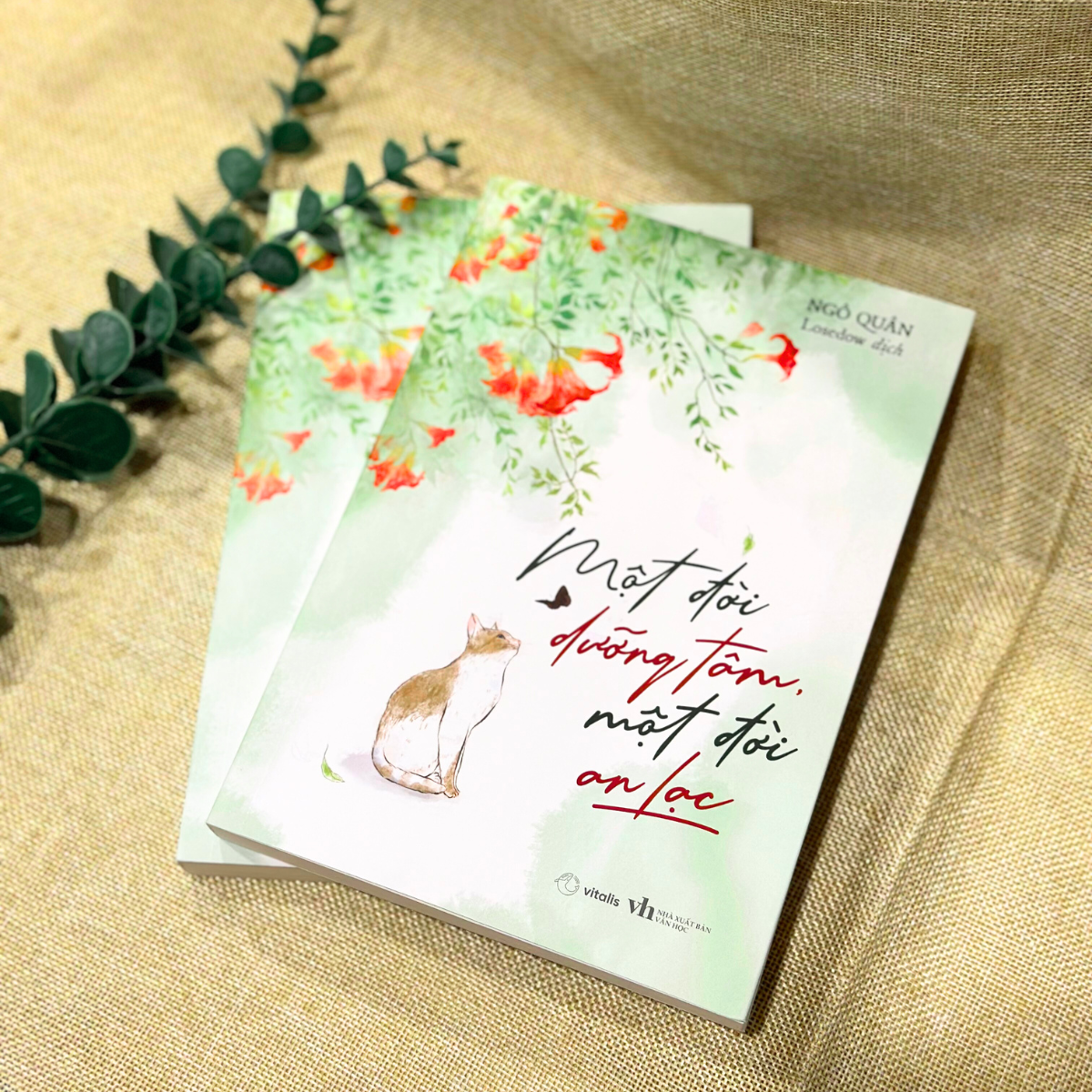 một đời dưỡng tâm, một đời an lạc