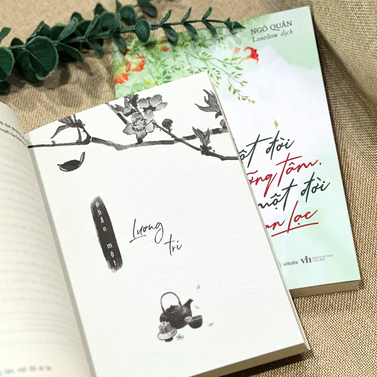 một đời dưỡng tâm, một đời an lạc