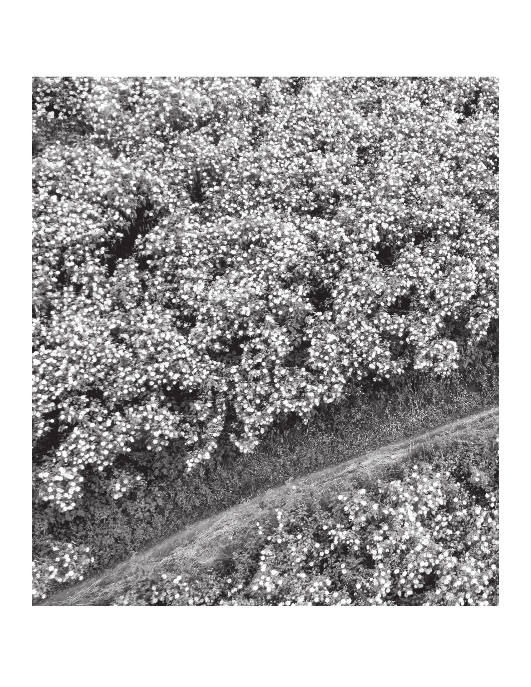 Một Hôm Tôi Bỗng Nhớ Ra