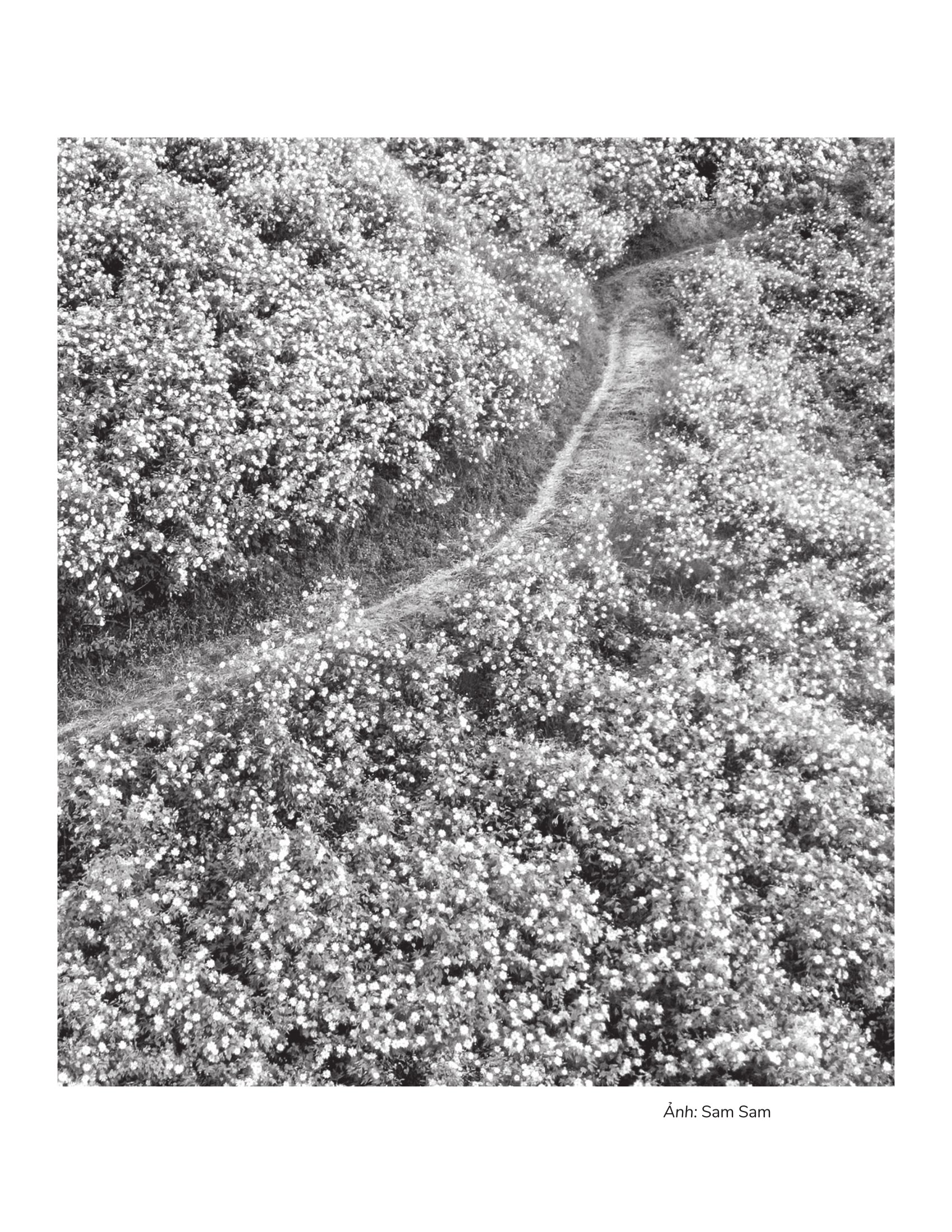 Một Hôm Tôi Bỗng Nhớ Ra