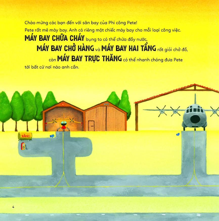 một ngày của phi công