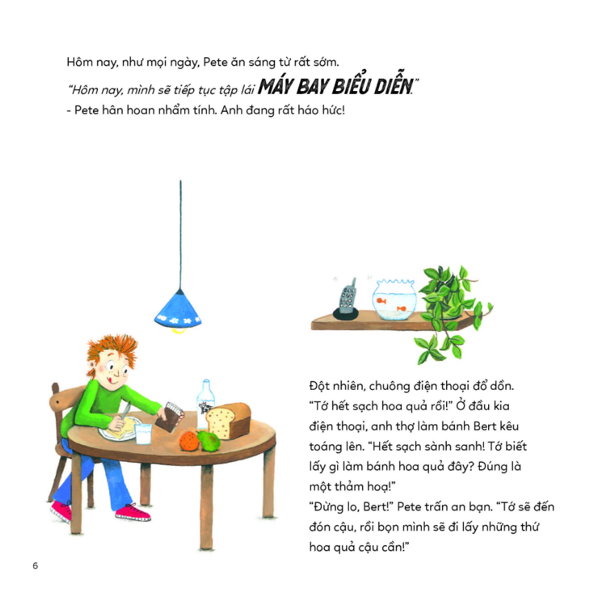 một ngày của phi công