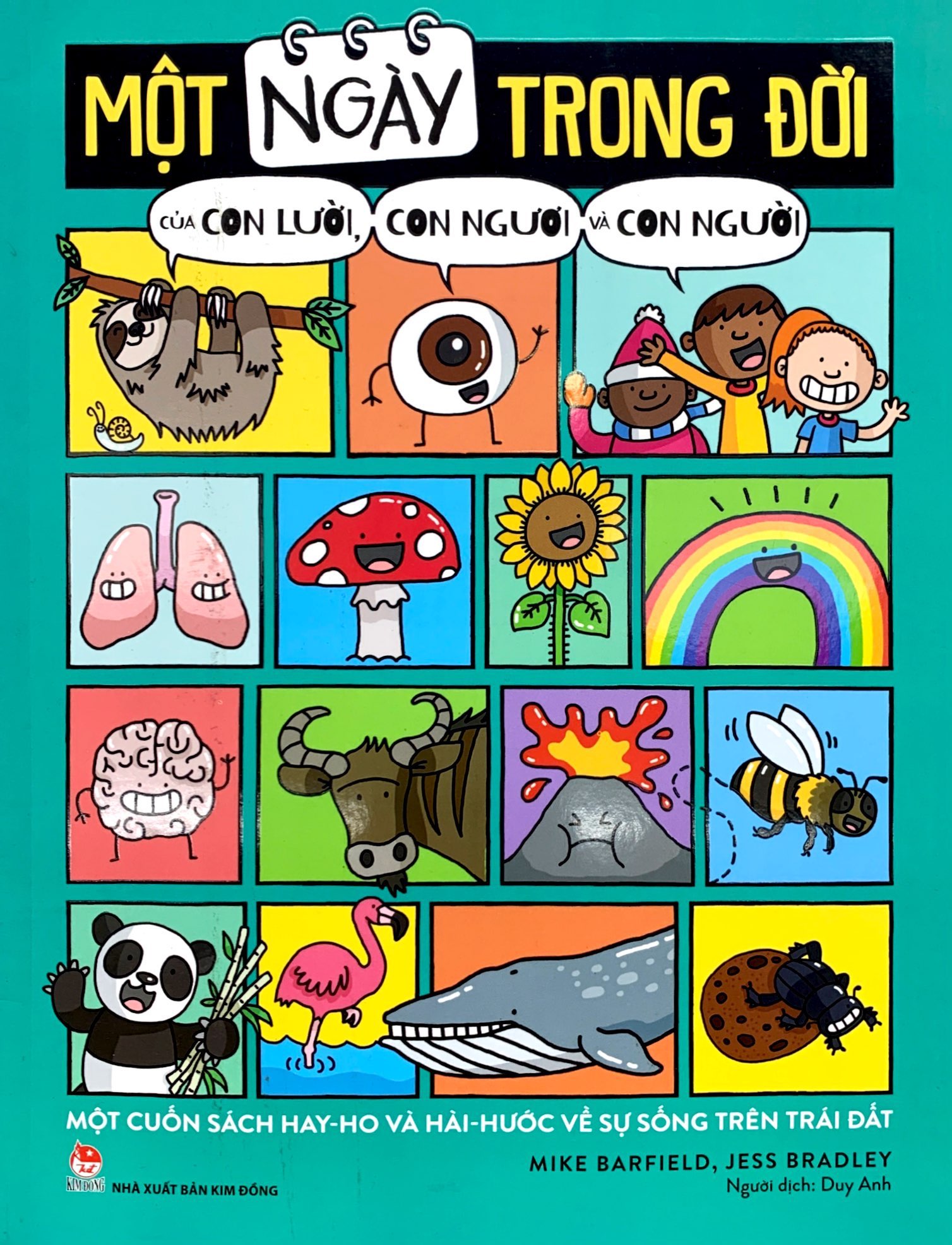 một ngày trong đời của con lười, con ngươi và con người