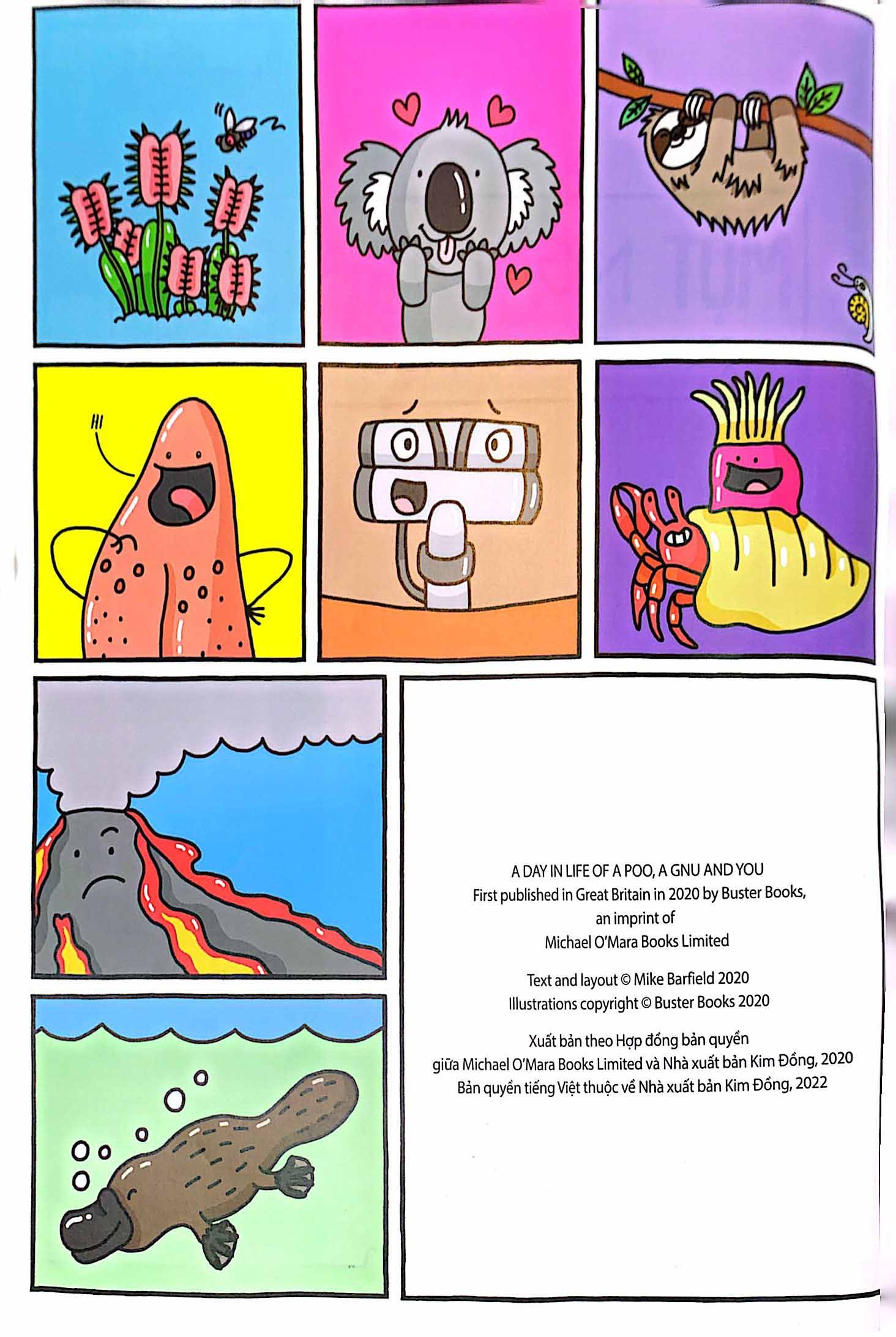 một ngày trong đời của con lười, con ngươi và con người