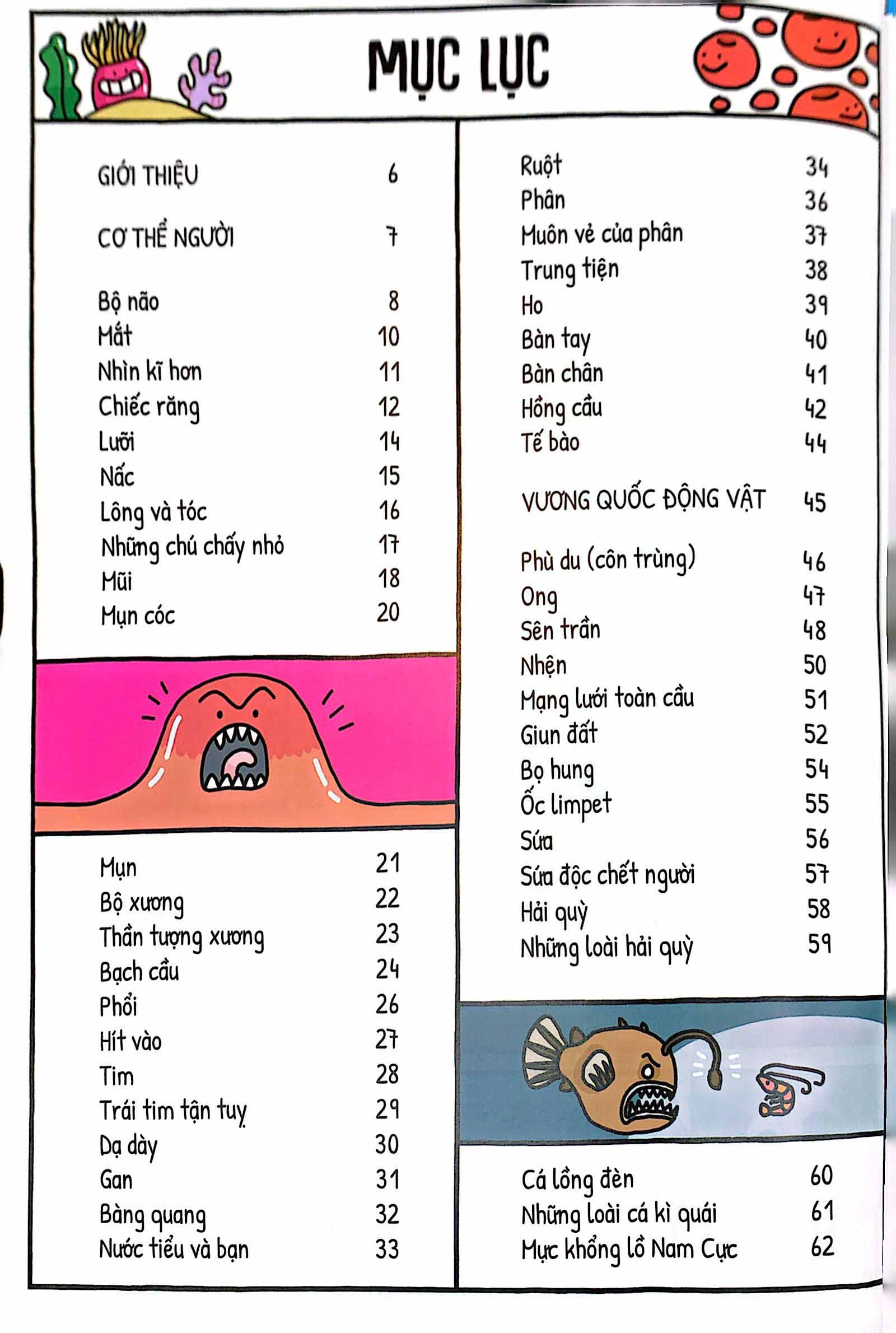 một ngày trong đời của con lười, con ngươi và con người