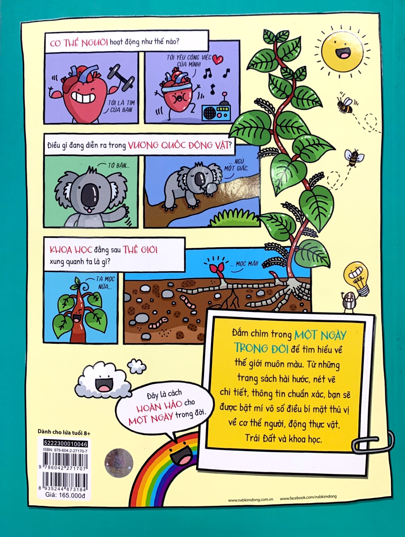 một ngày trong đời của con lười, con ngươi và con người