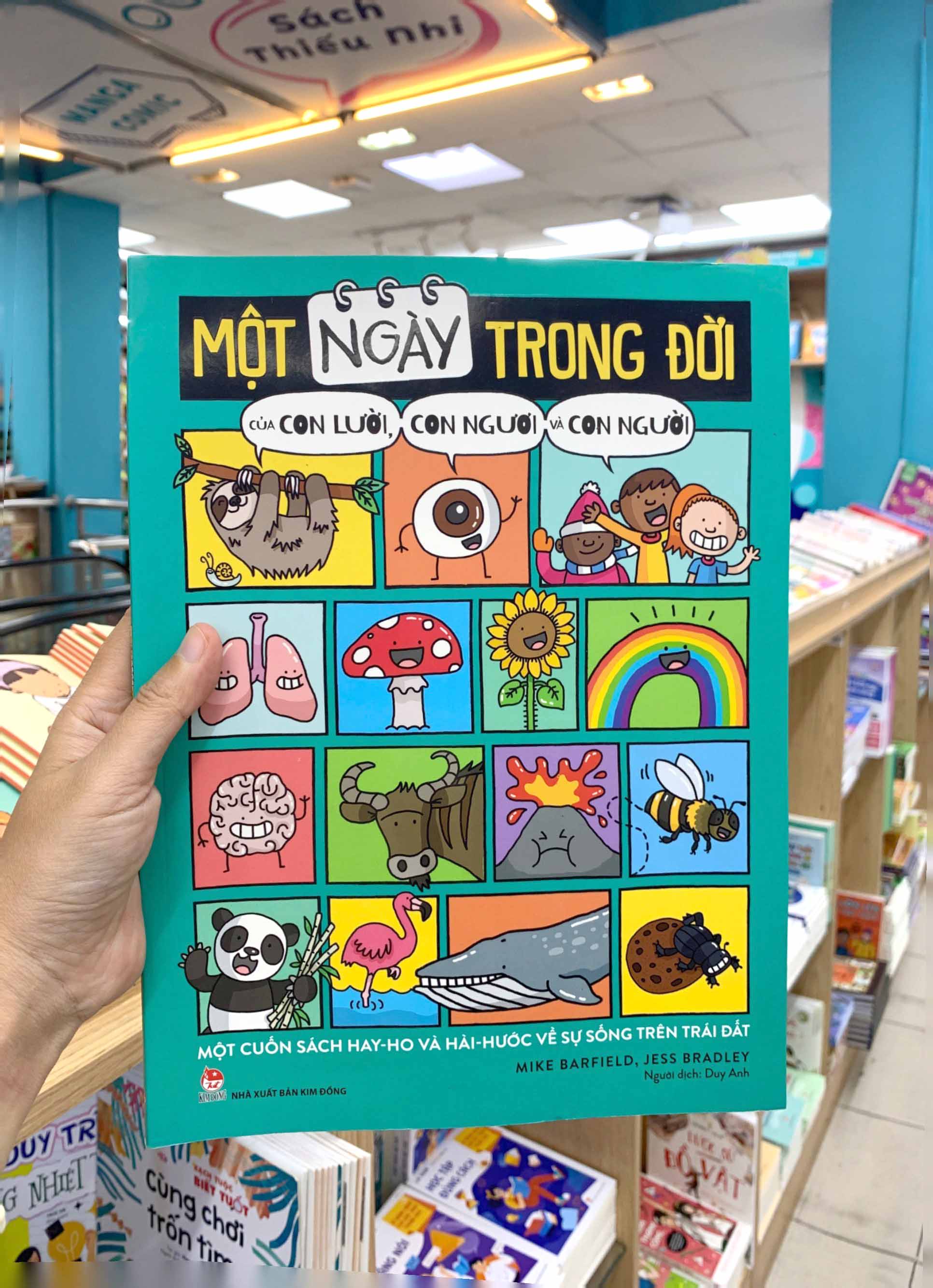 một ngày trong đời của con lười, con ngươi và con người