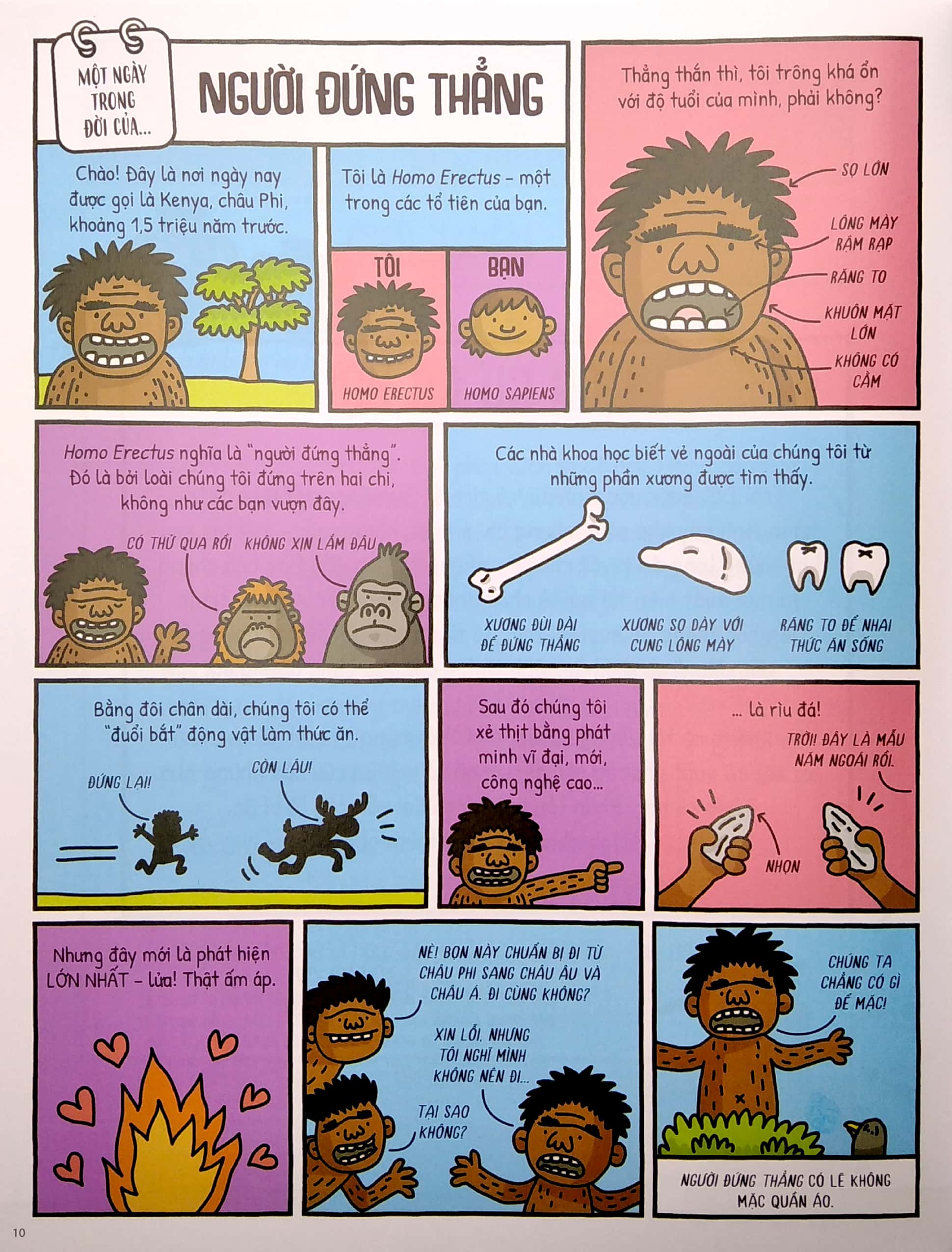 một ngày trong đời của người hang, nữ hoàng và anh em họ hàng