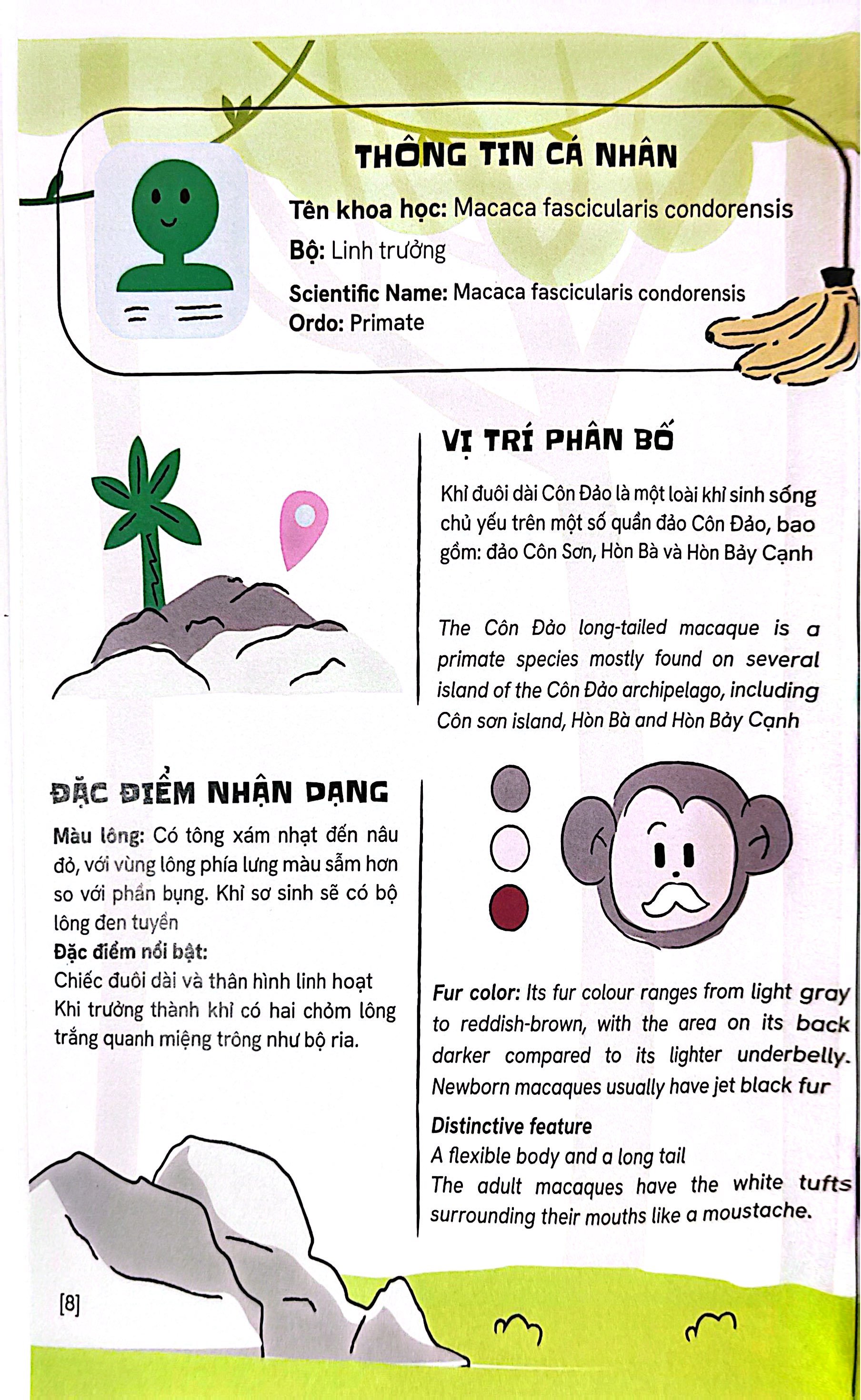 Mot So Loai Dong Vat Dac Huu Va Ban Xu Cua Viet Nam - Endemic And Native Fauna Of Vietnam