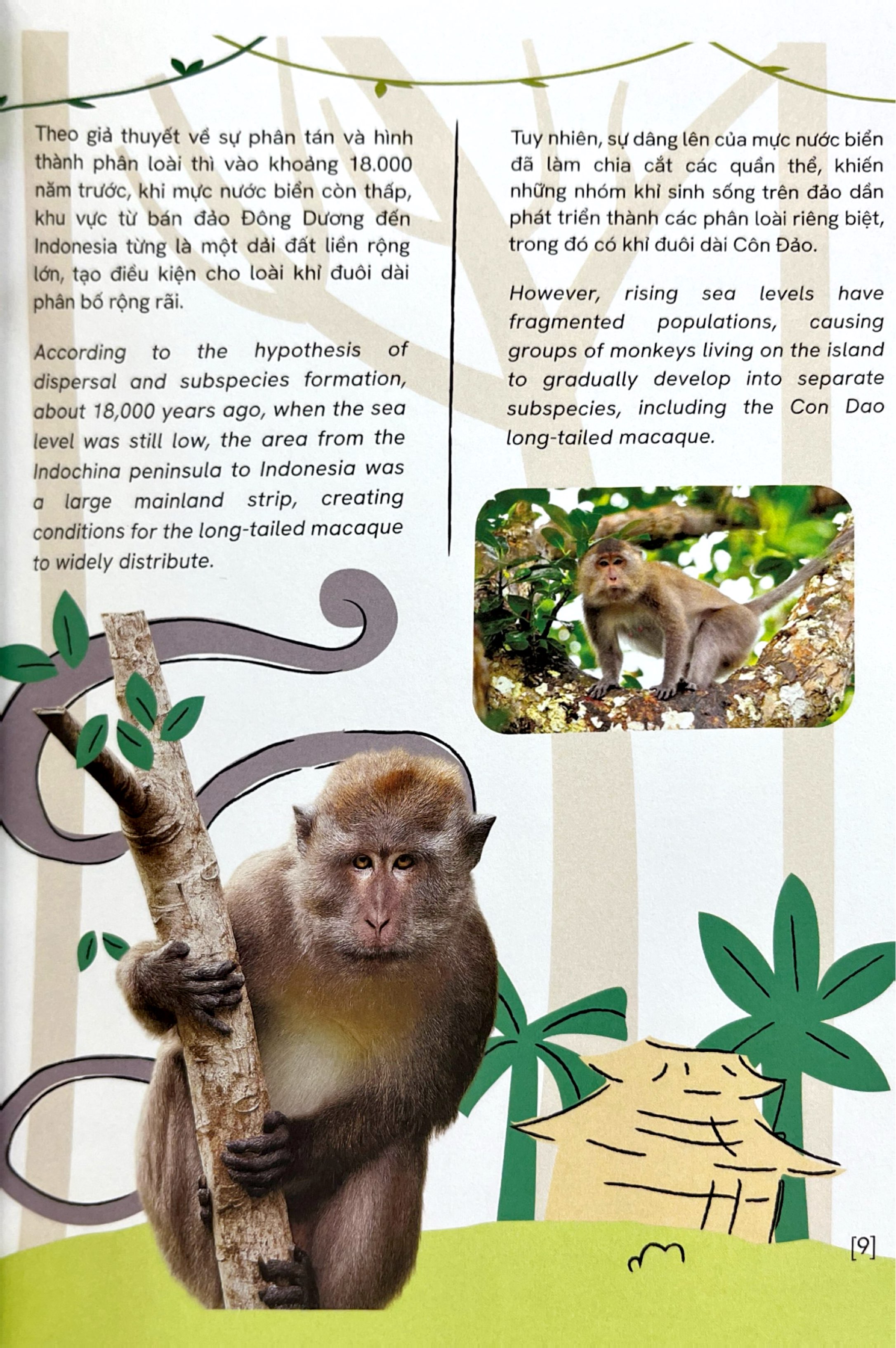 Mot So Loai Dong Vat Dac Huu Va Ban Xu Cua Viet Nam - Endemic And Native Fauna Of Vietnam