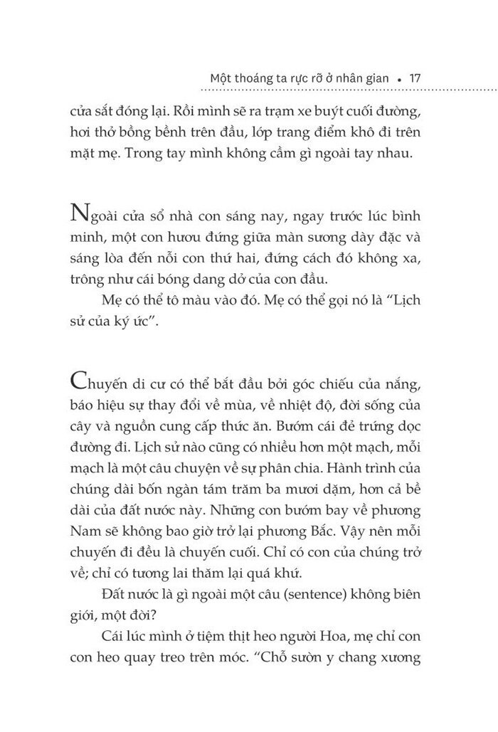 một thoáng ta rực rỡ ở nhân gian