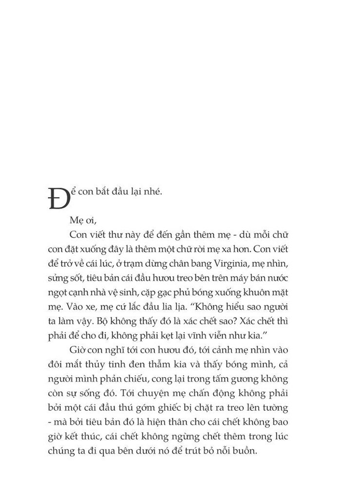 một thoáng ta rực rỡ ở nhân gian