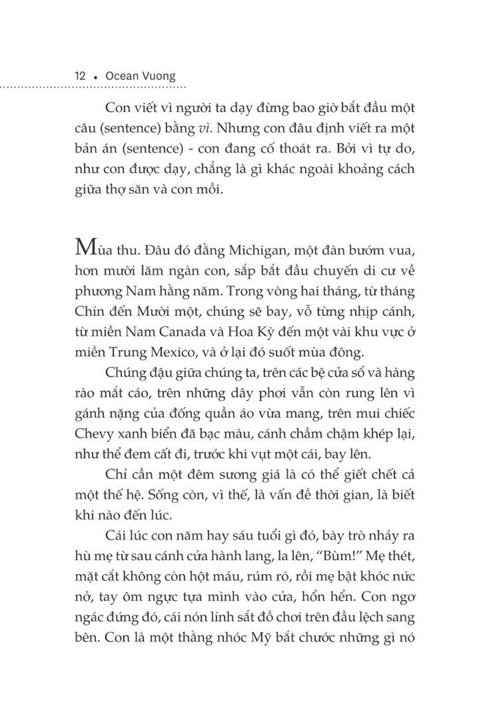 một thoáng ta rực rỡ ở nhân gian