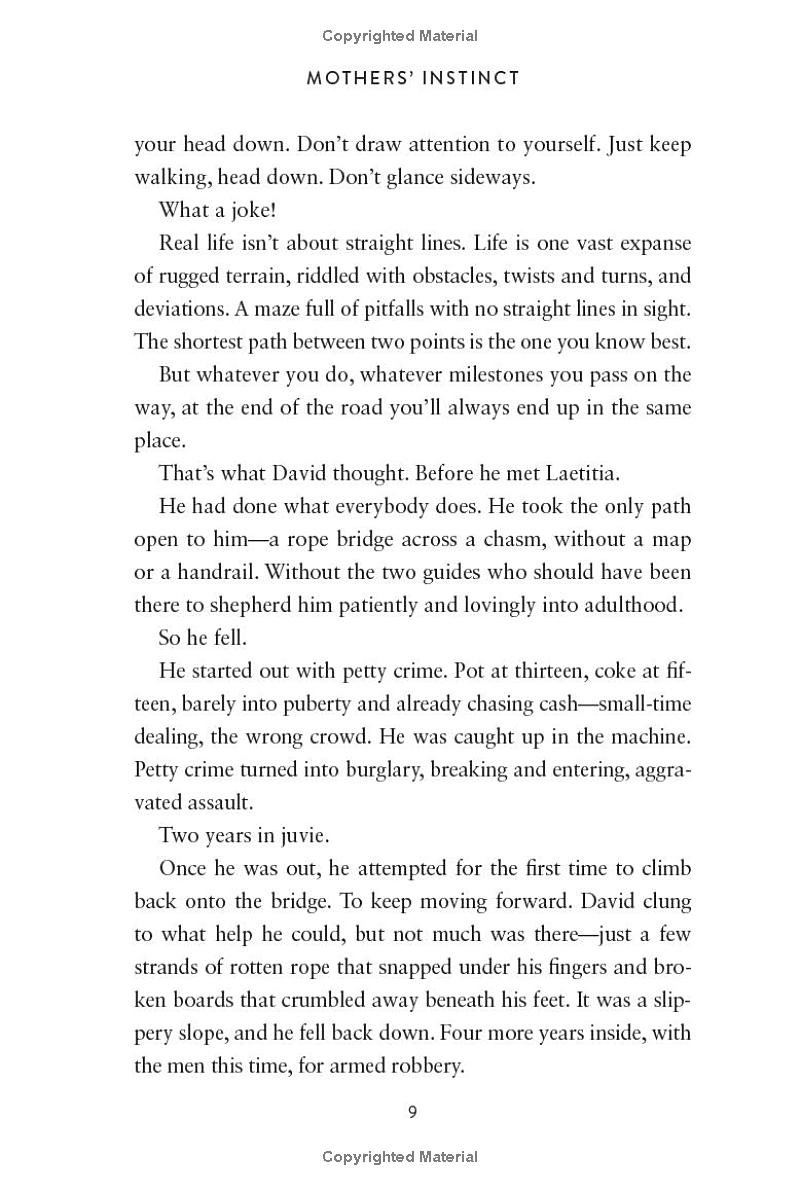 mothers' instinct - a novel of suspense