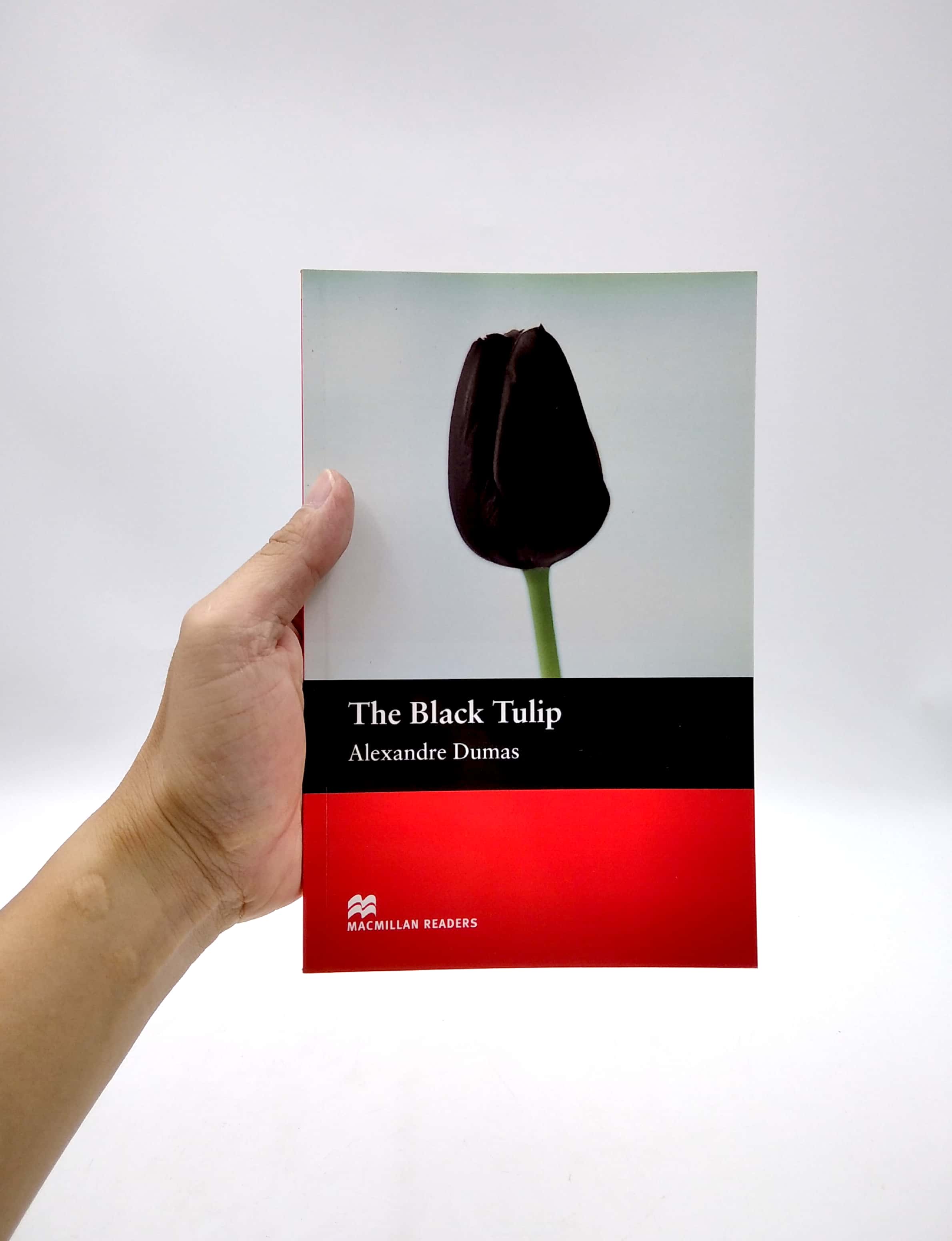 mr; black tulip the beg
