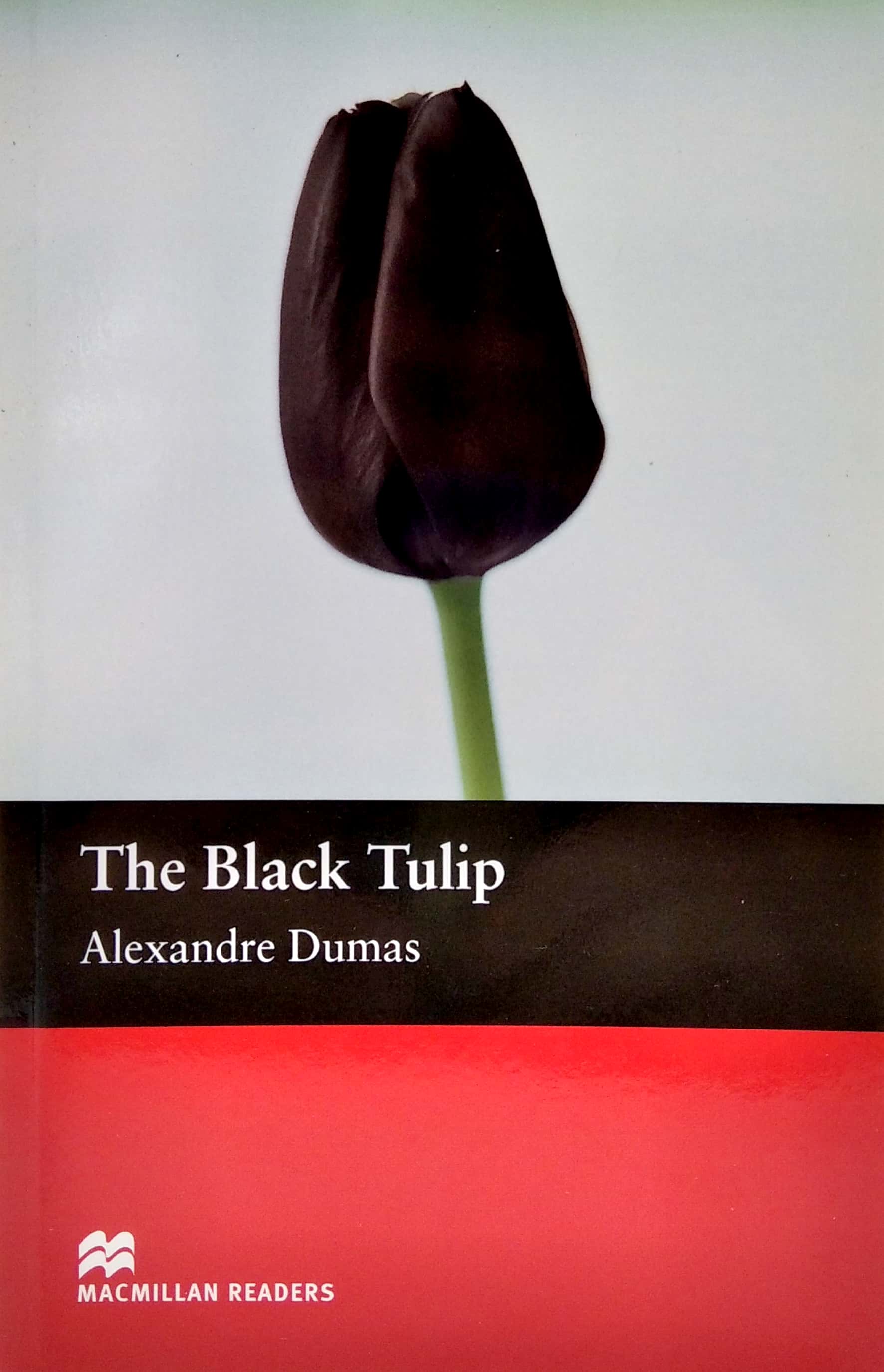 mr; black tulip the beg