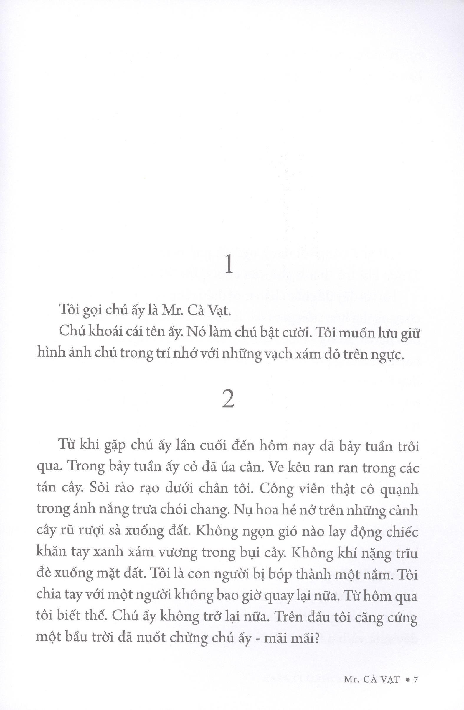 mr. cà vạt