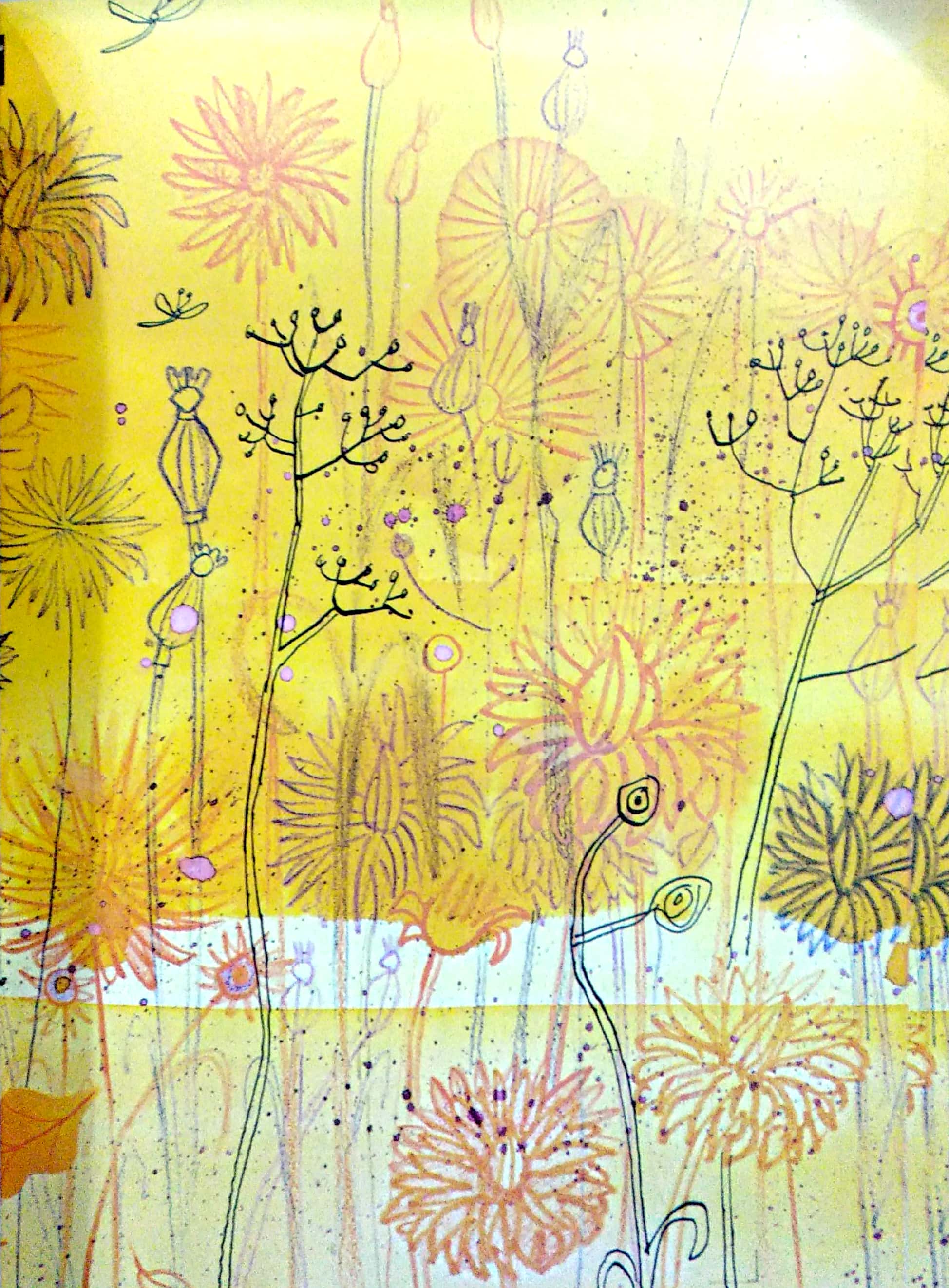 mr finney và điều bí ẩn trên cây