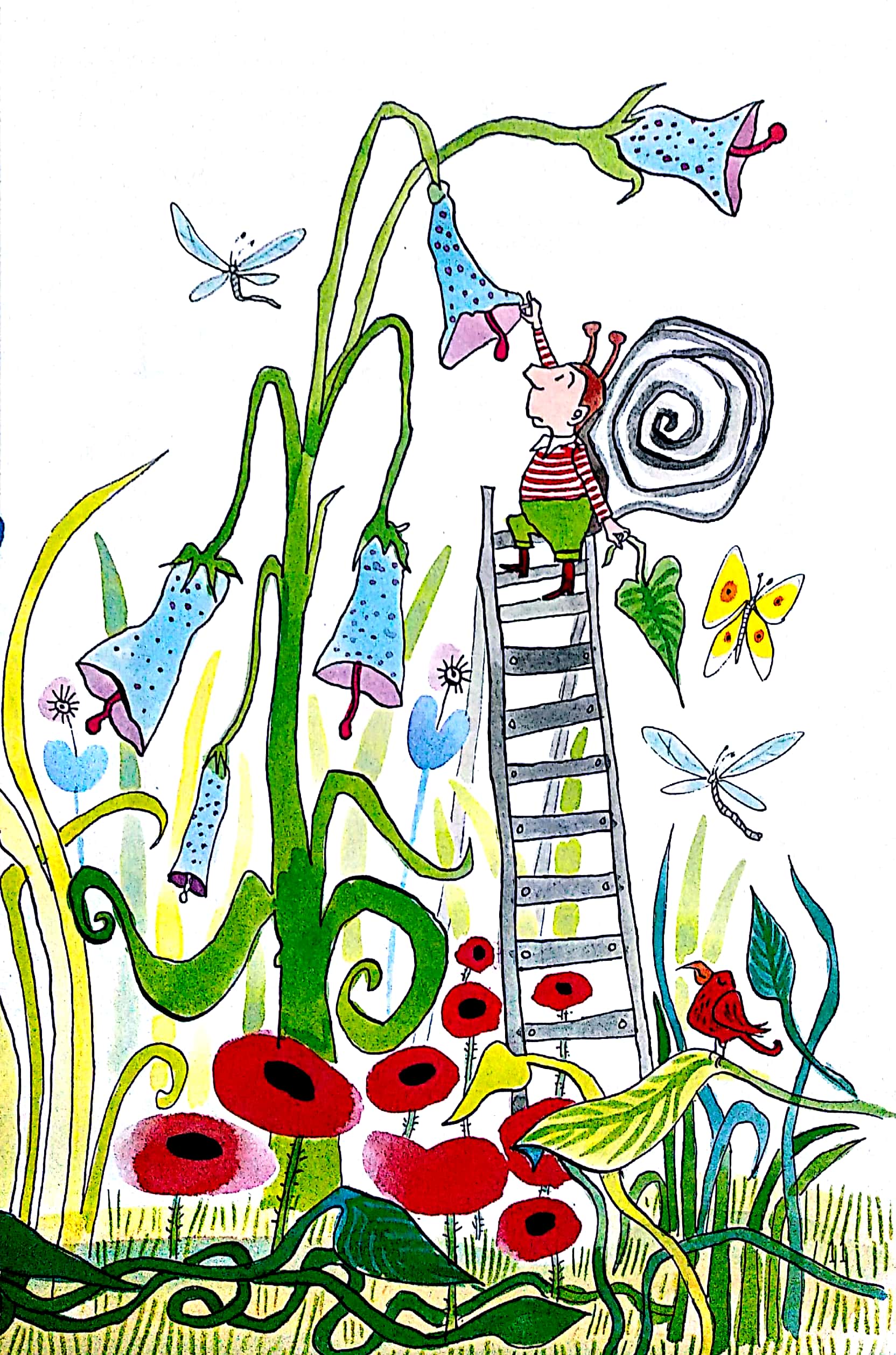 mr finney và phía bên kia biển nước