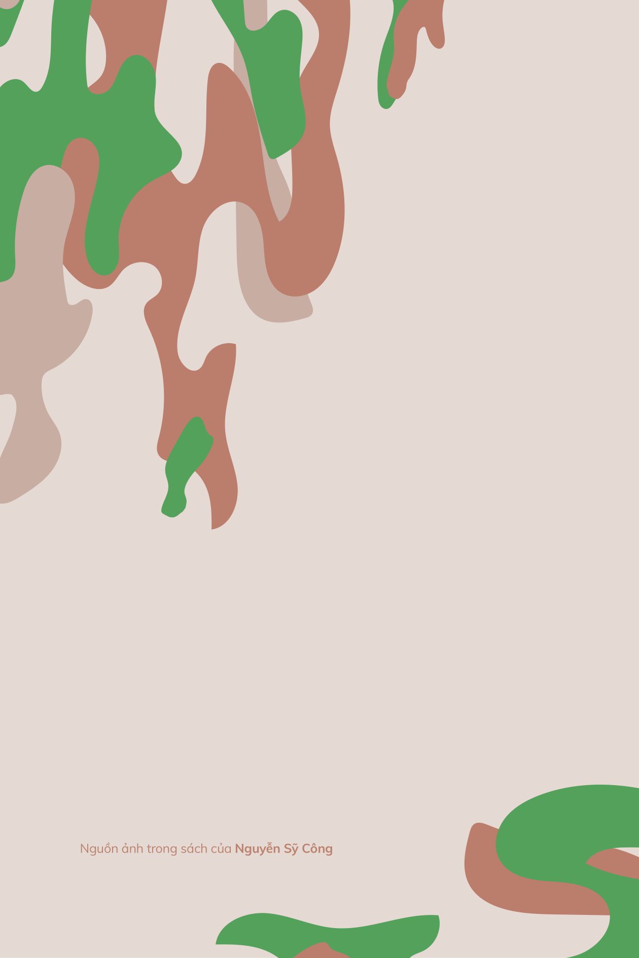 mũ nồi xanh việt nam - người đi gieo hạt hòa bình