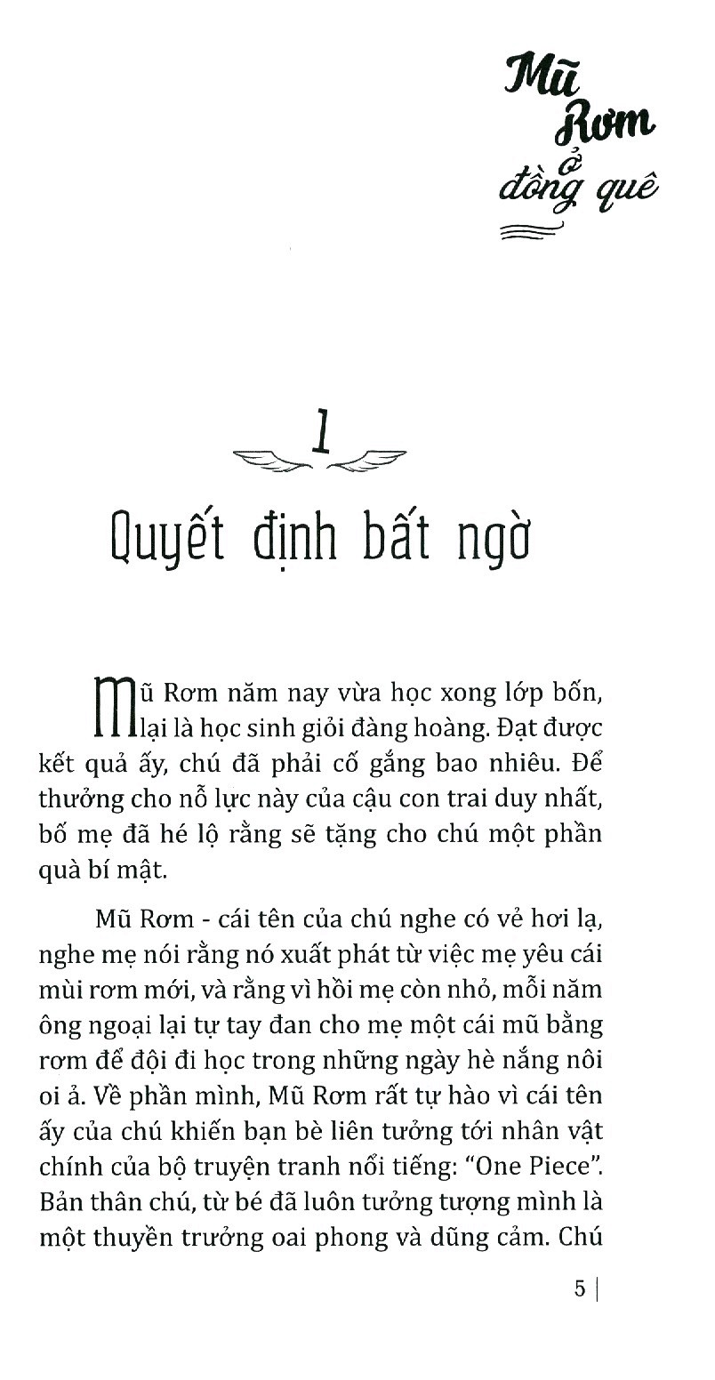 mũ rơm ở đồng quê