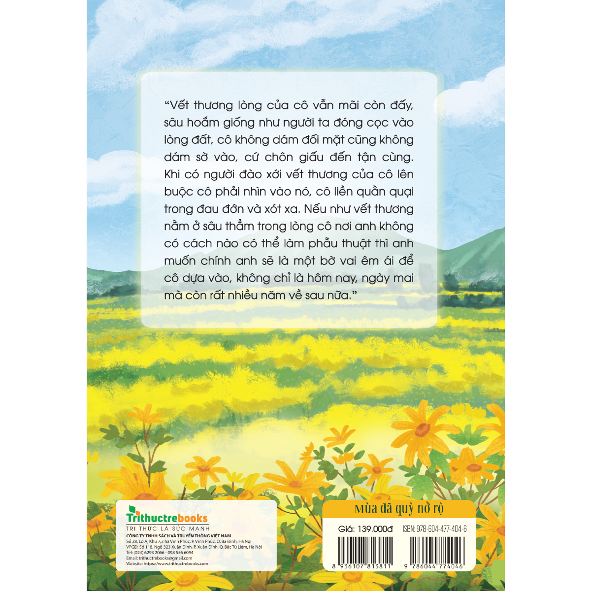 mùa dã quỳ nở rộ