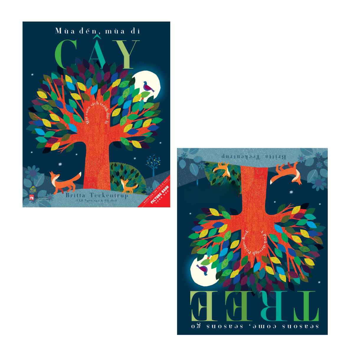 Mùa Đến, Mùa Đi - Cây