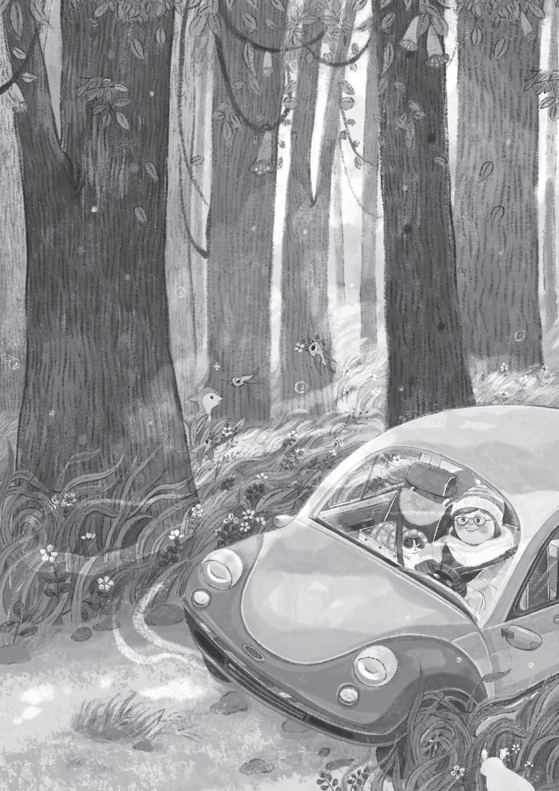 mùa hè có tuyết